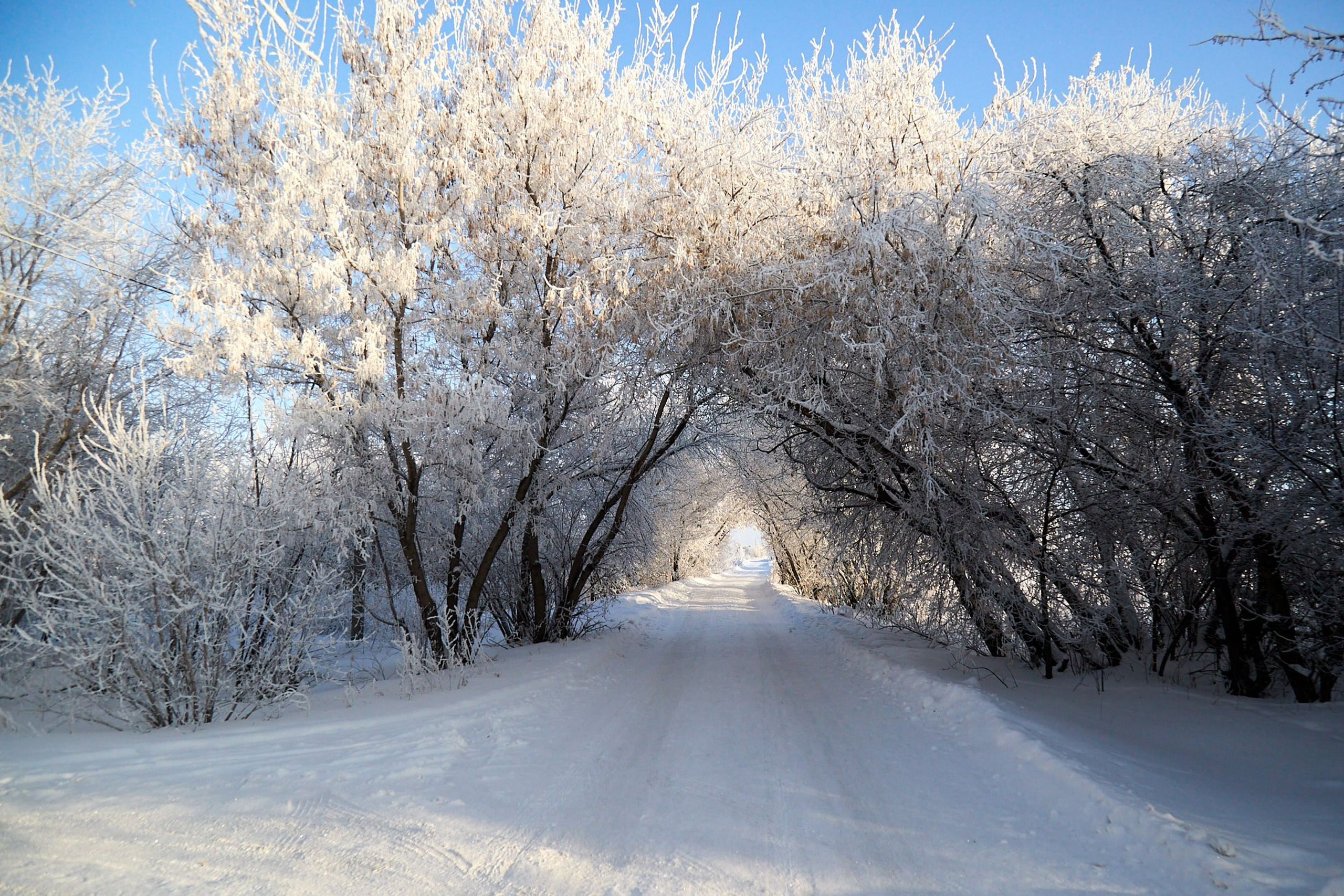 Предновогодняя сказка