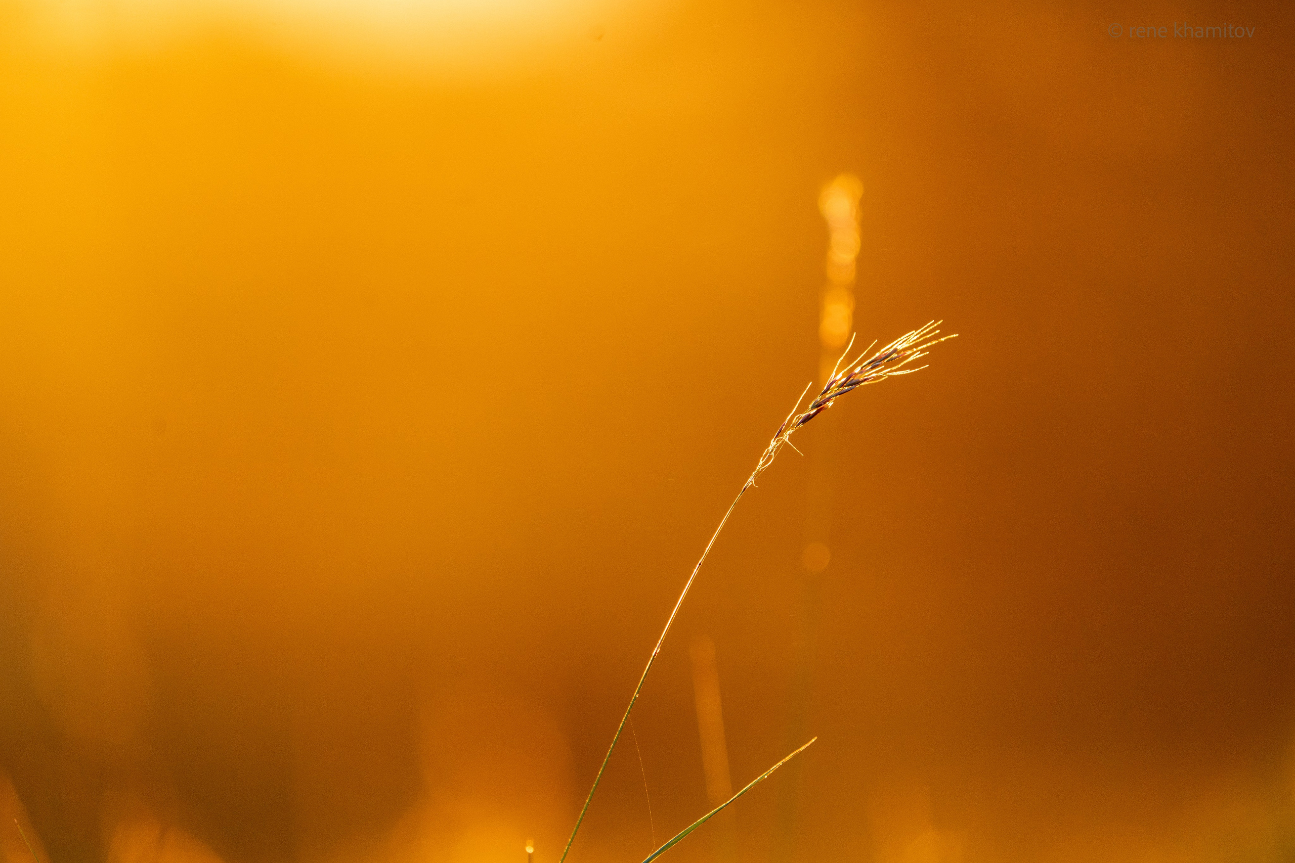 Landscapes