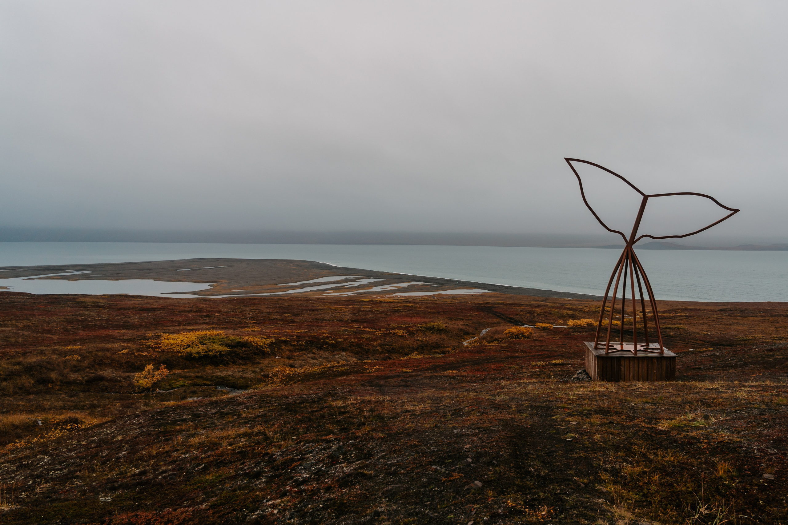 Национальный природно-этнический парк «Берингия», Чукотка