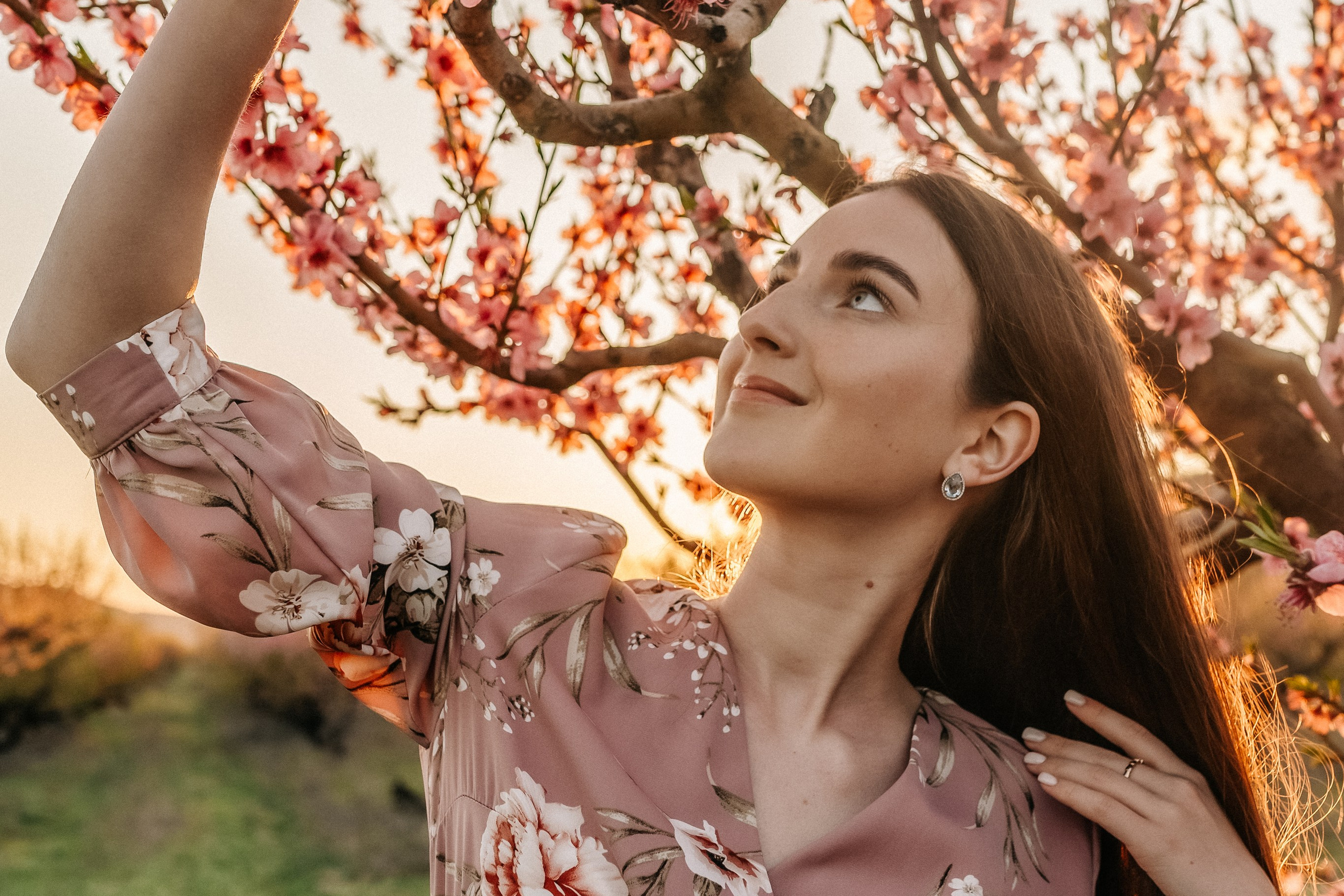 Цветение персиков