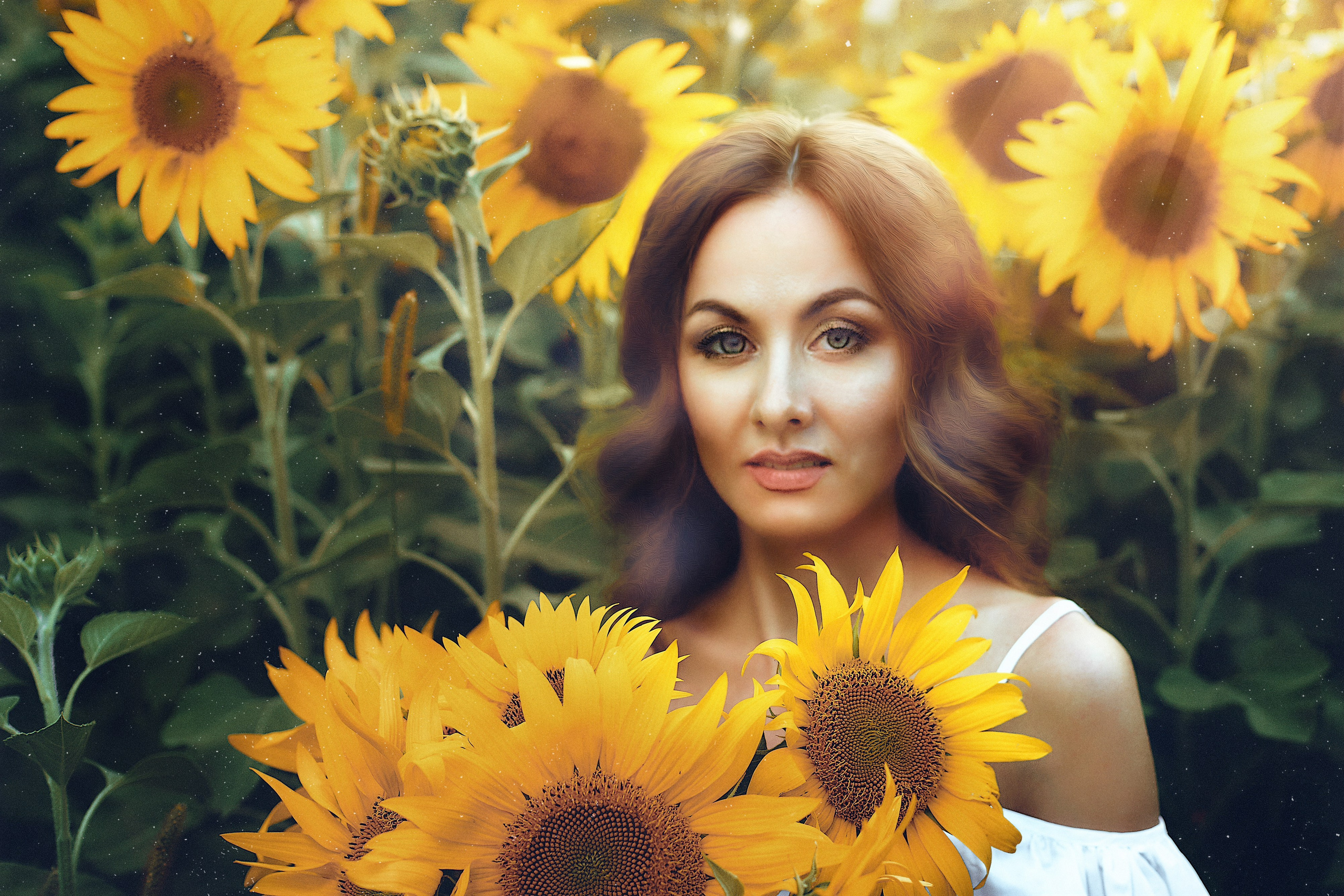 Ольга. Подсолнухи