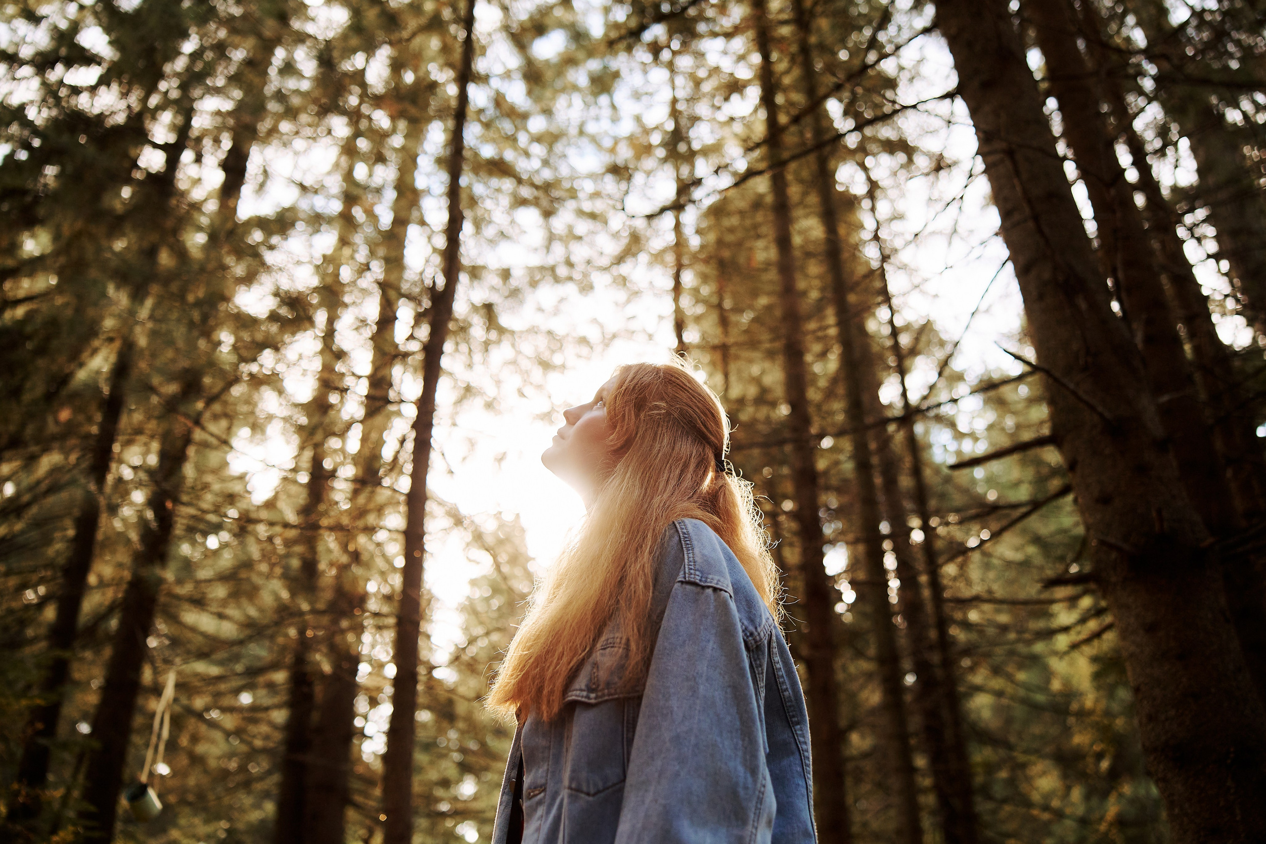 Всероссийский форум развития гражданского общества «Добрино» 2025