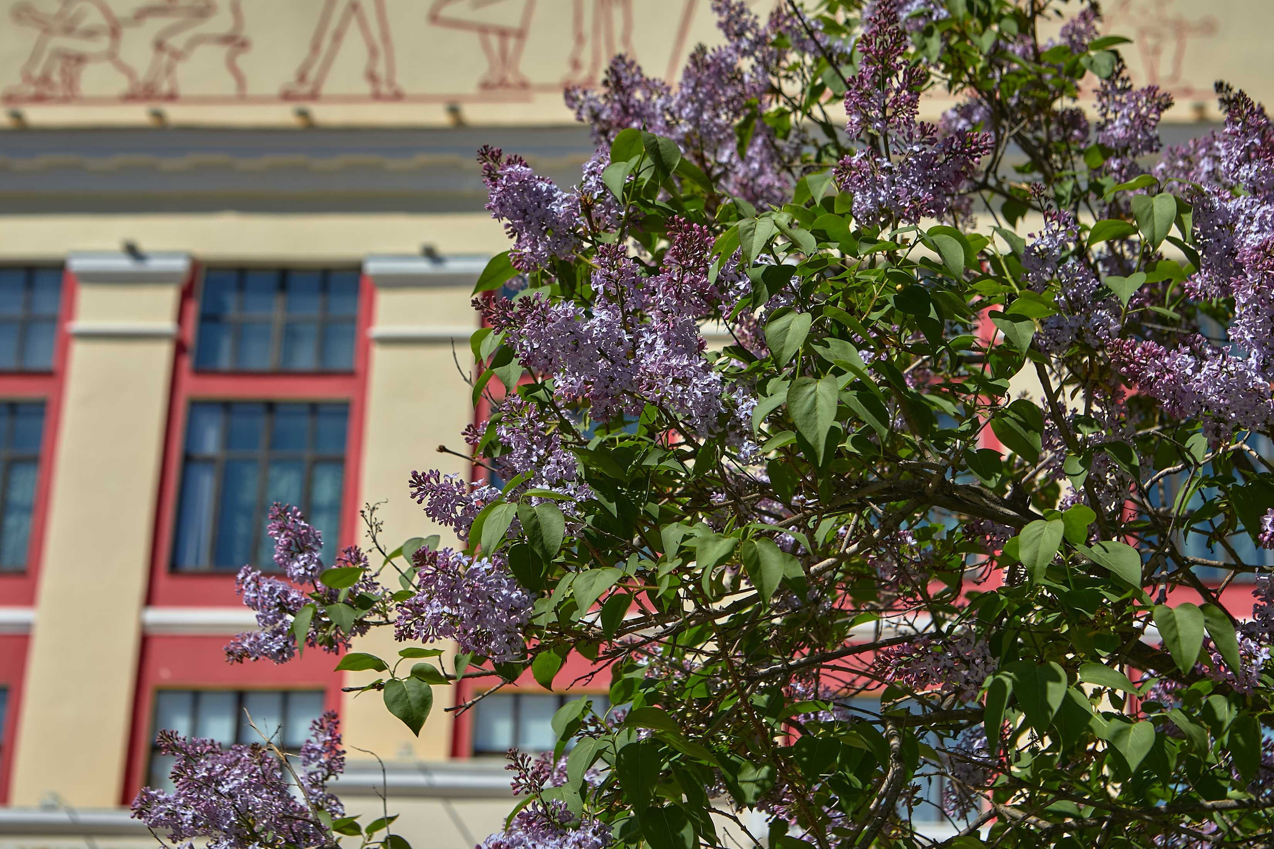 Видовые фото УГНТУ. УГНТУ — Ведущий нефтегазовый вуз России