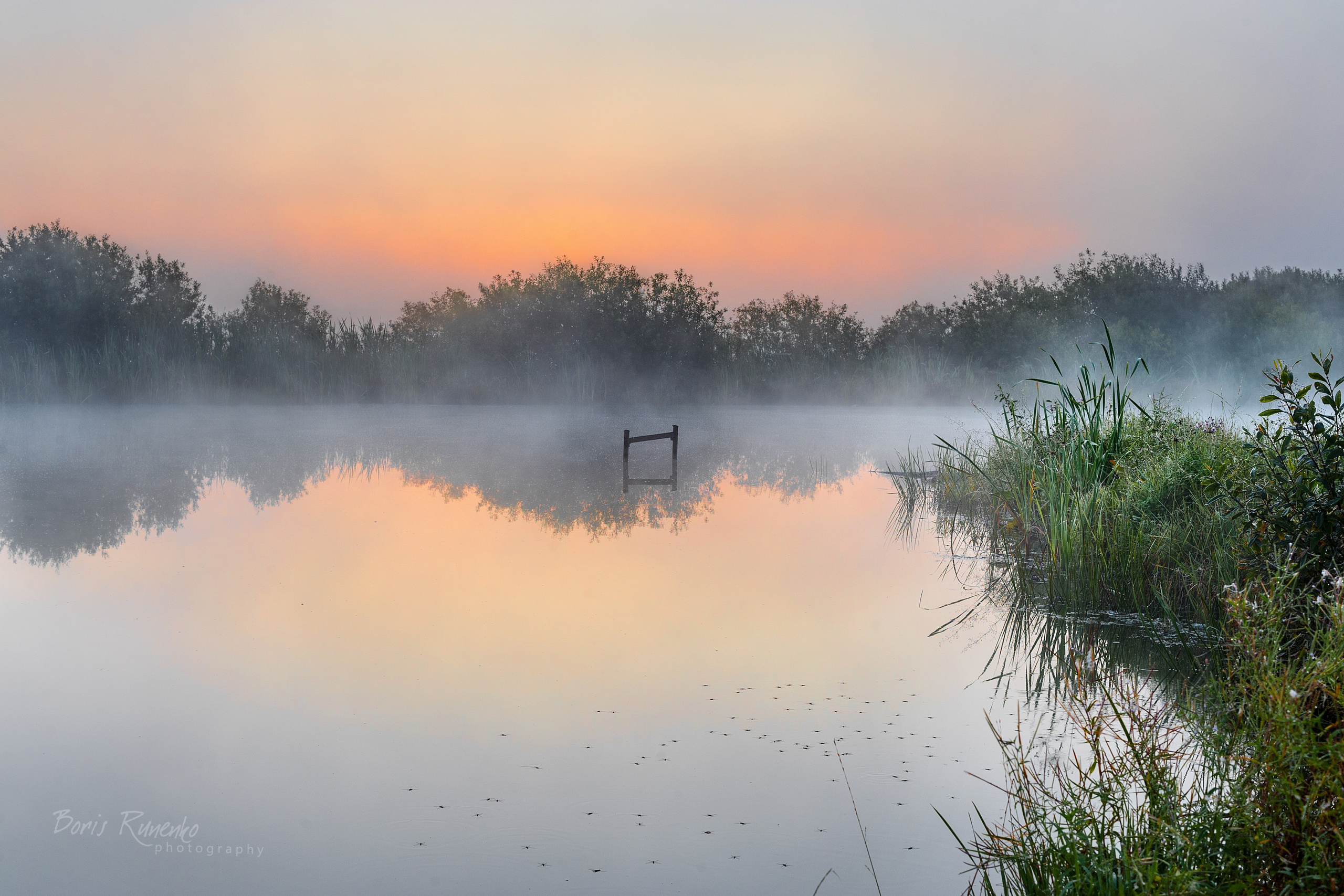 Рассветы, туманы, закаты.
