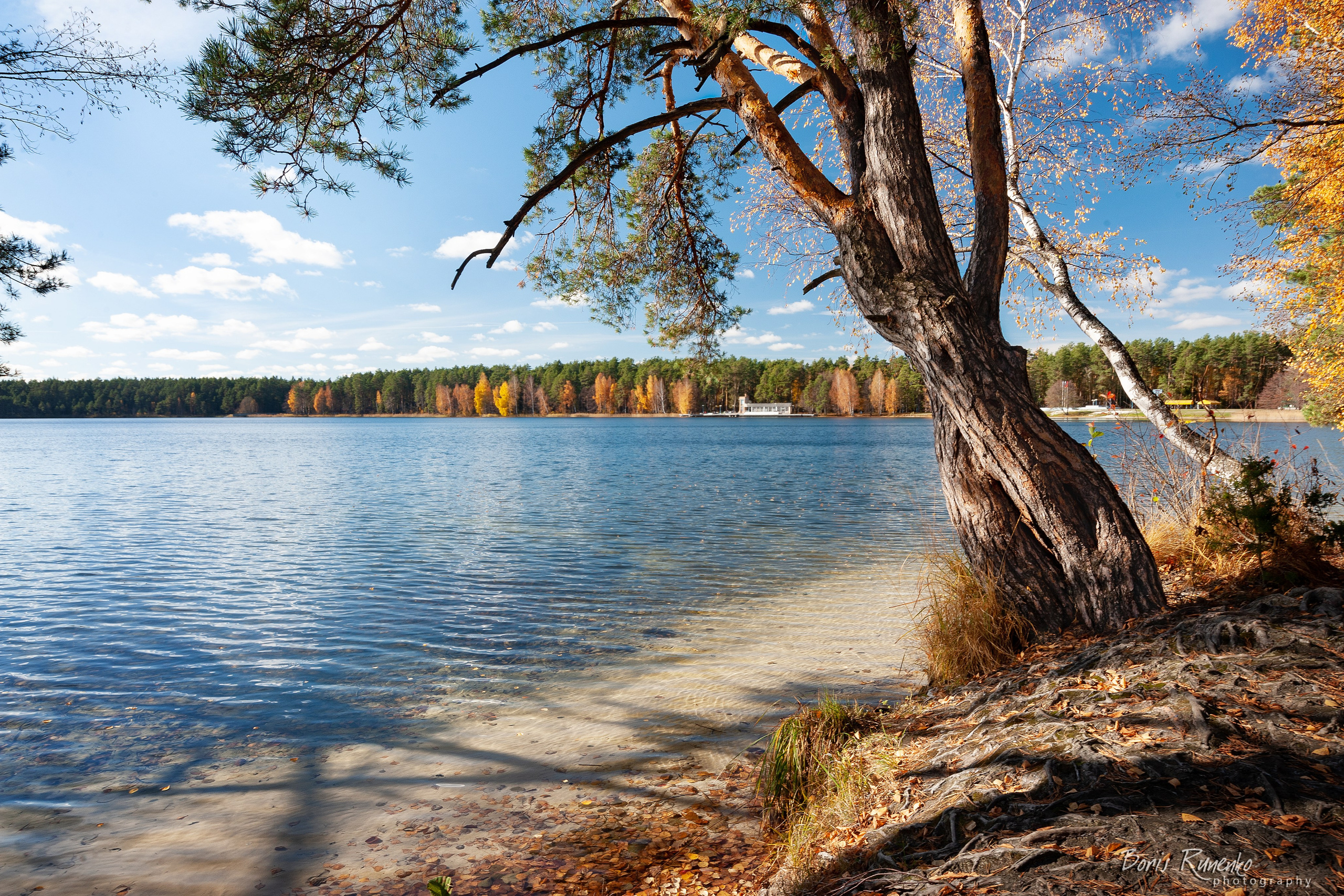 Озеро Белое. Московская область