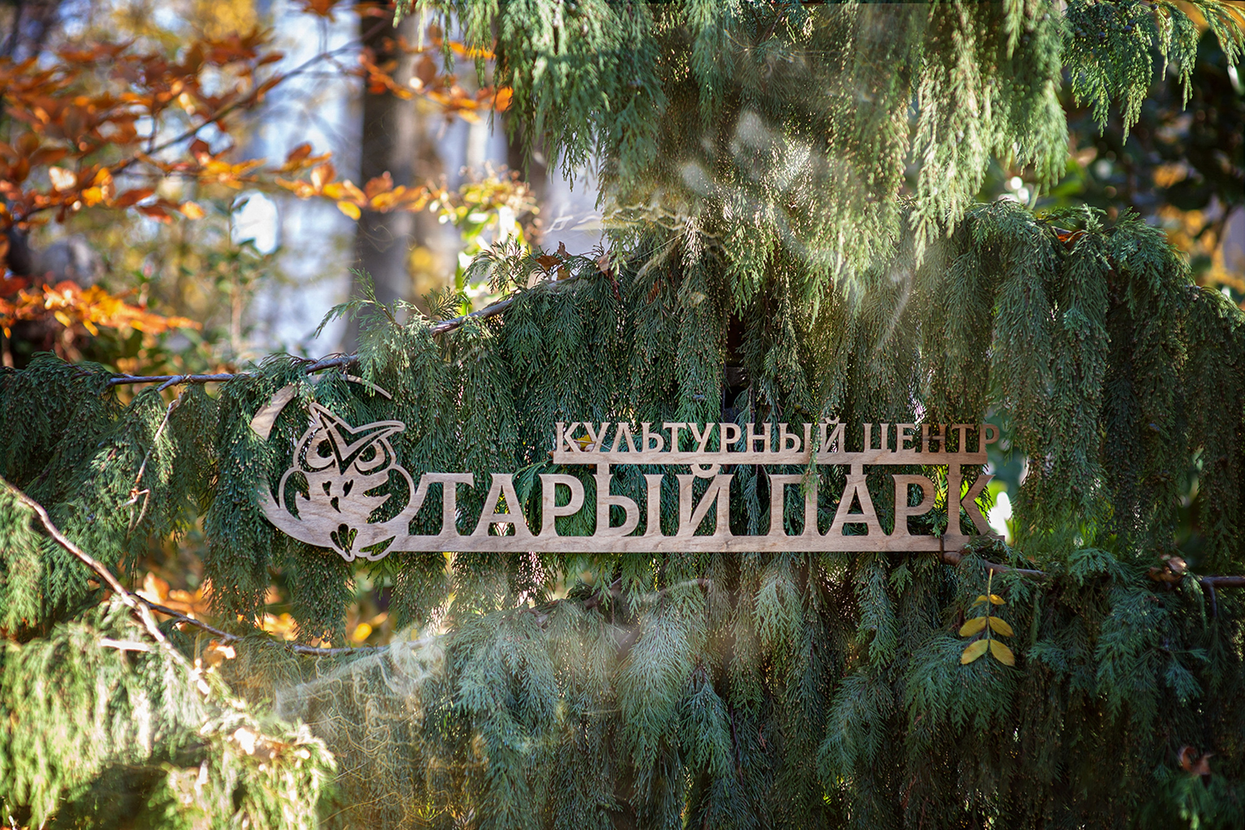 КАБАРДИНКА. СТАРЫЙ ПАРК