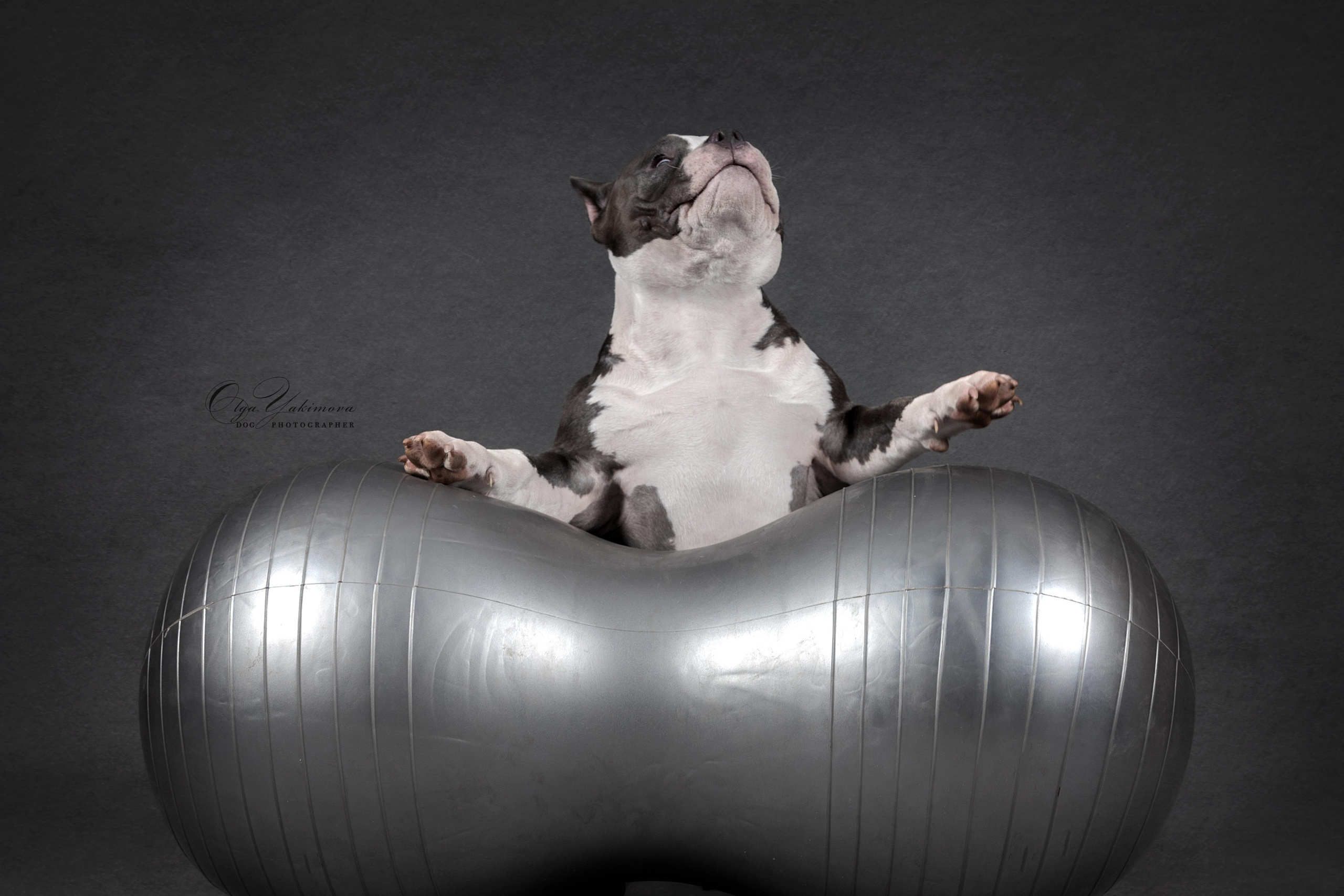 КРЕЩЕНИЕ ЭМИЛИИ. Фотограф