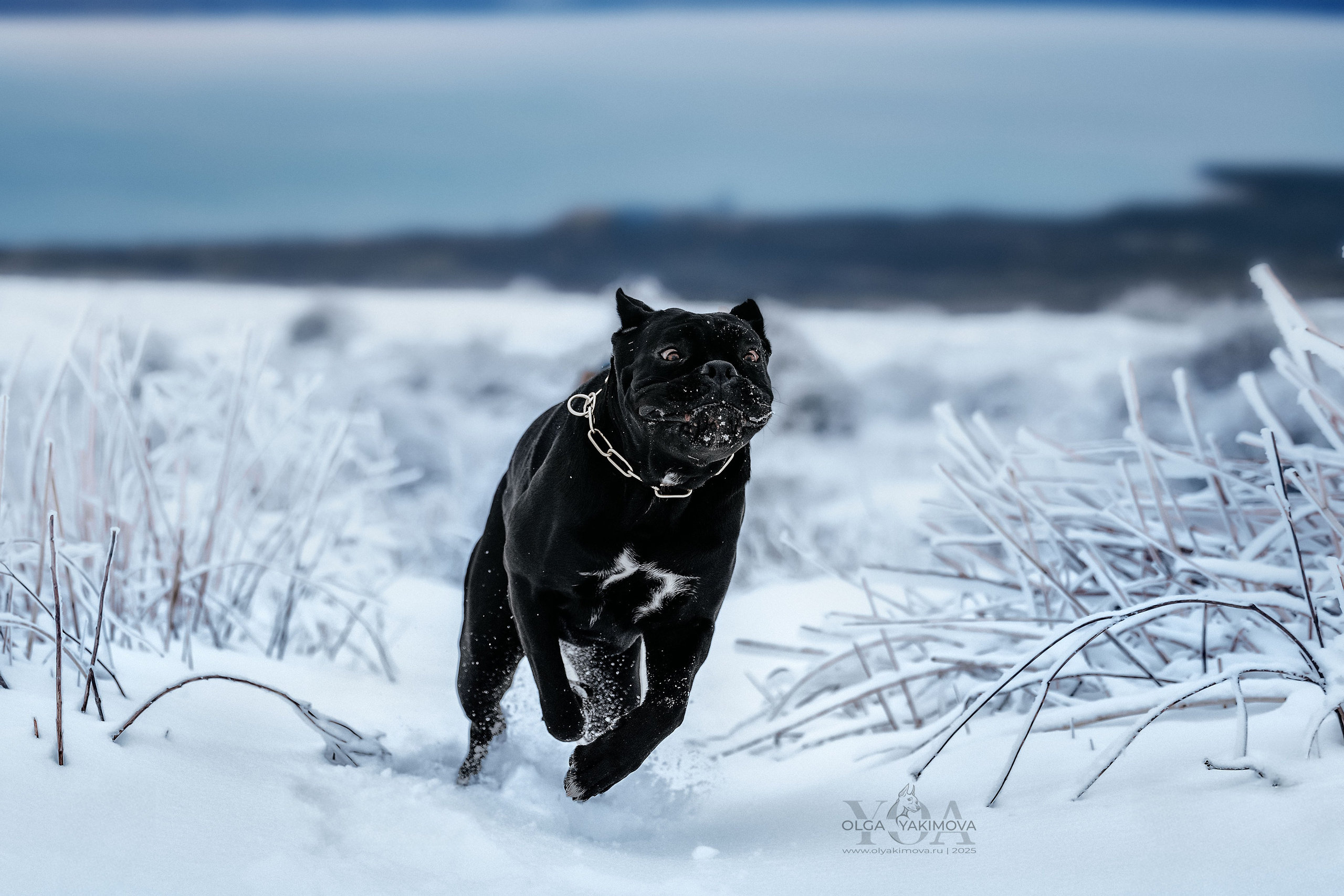 Истории. Фотограф