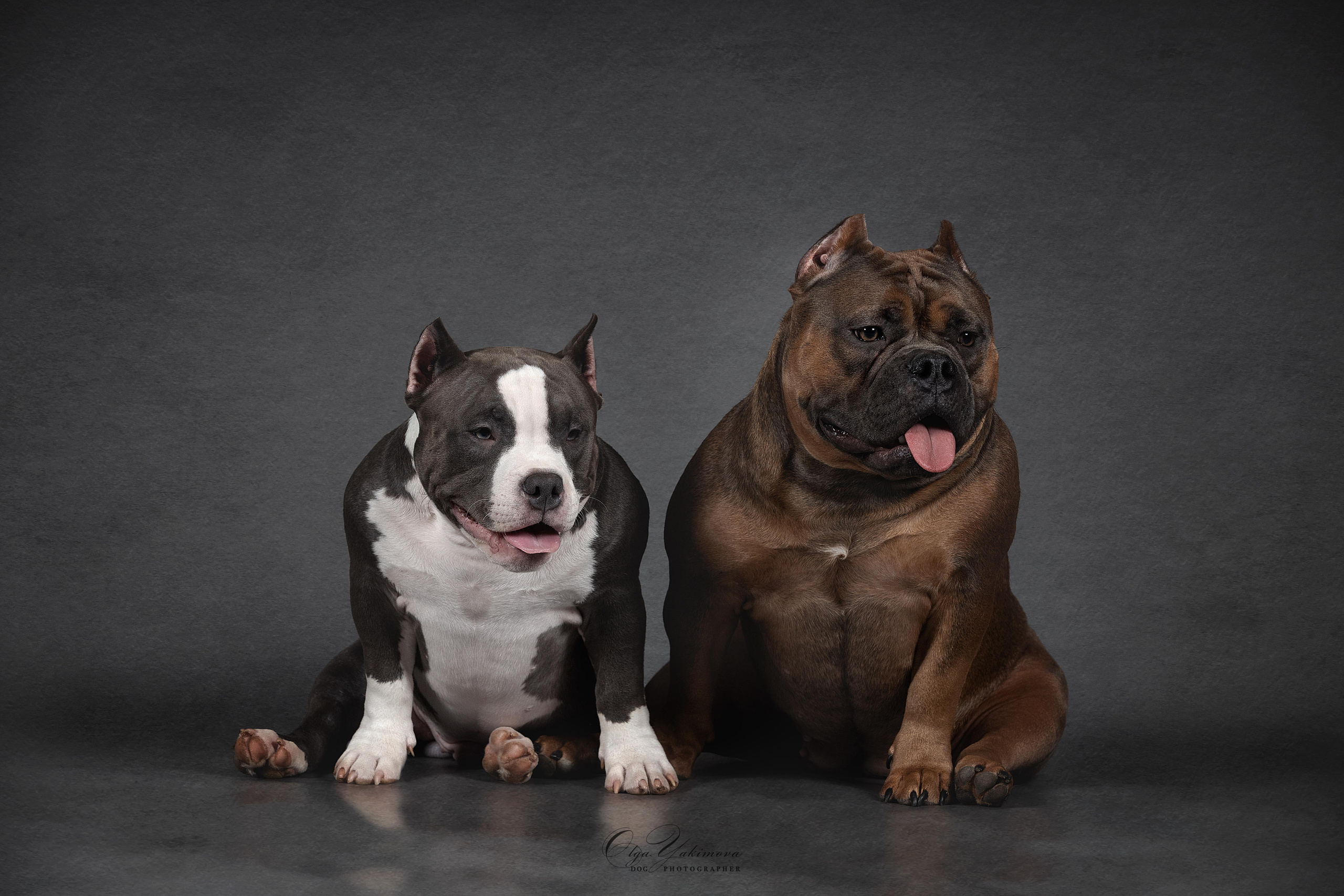 КРЕЩЕНИЕ ЭМИЛИИ. Фотограф