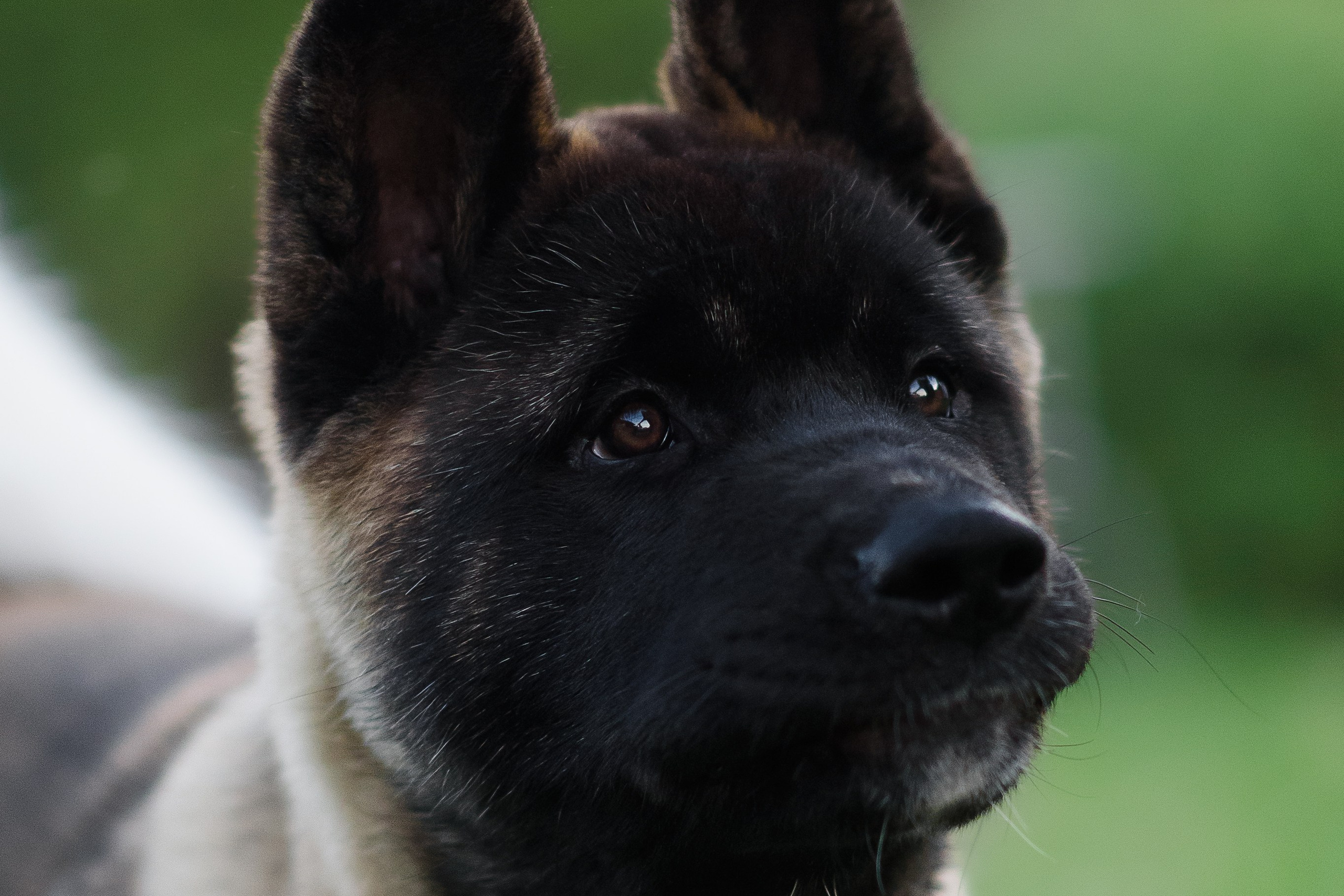 Байкер — 30.05.2024