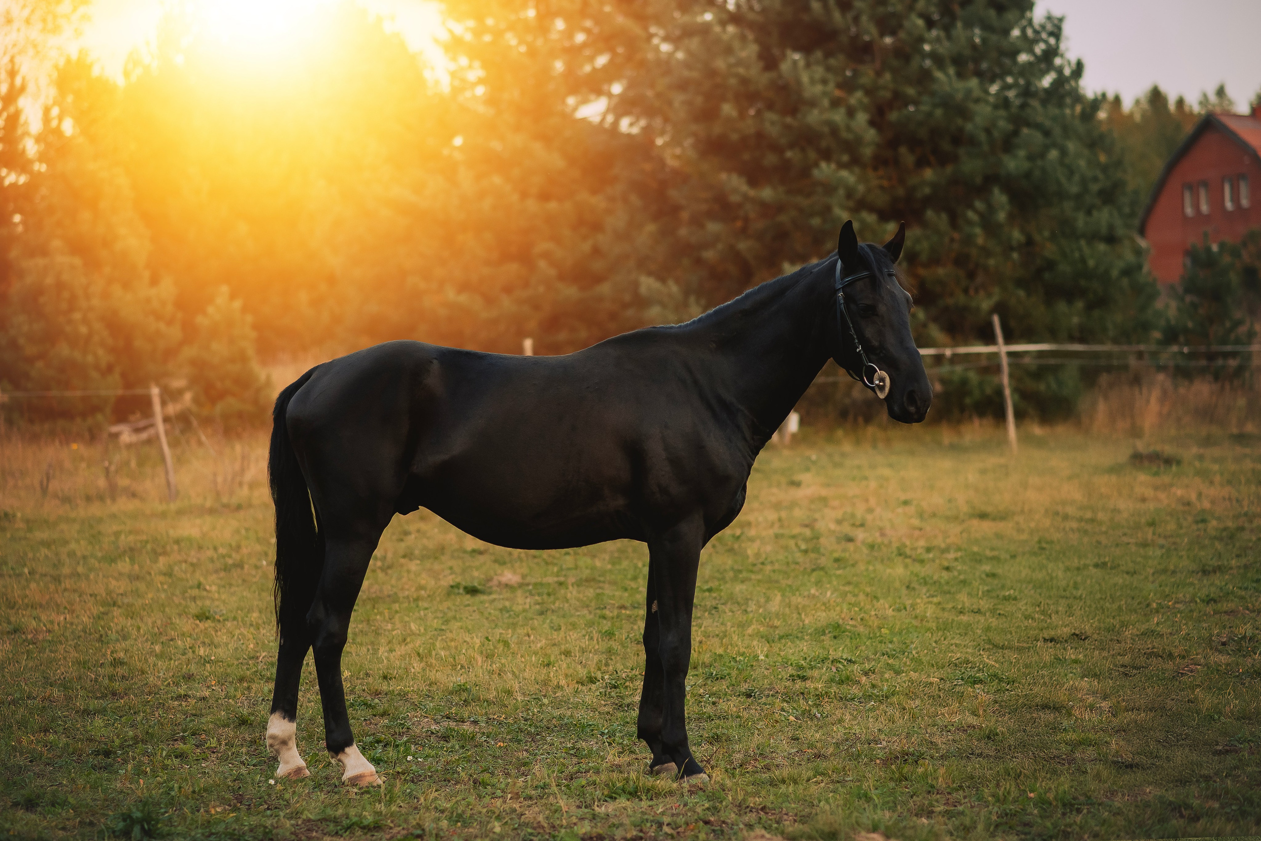 Дени — 23.09.2025