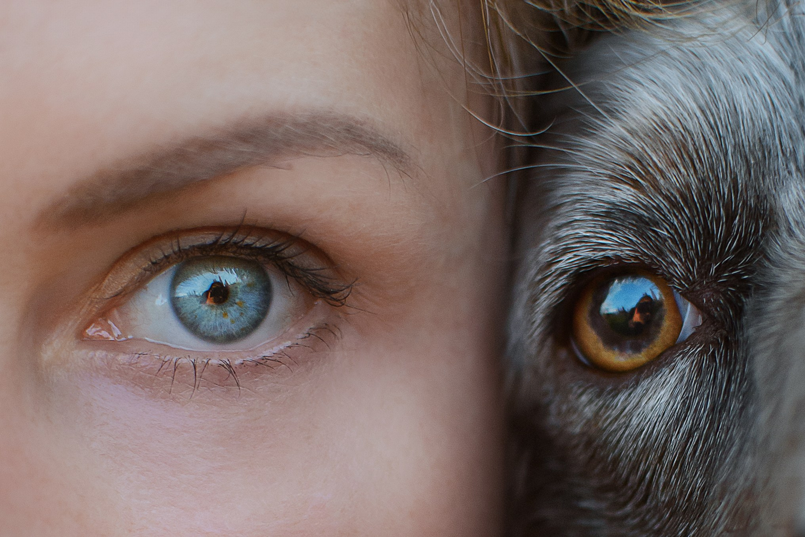 Света и Рей — 09.06.2024