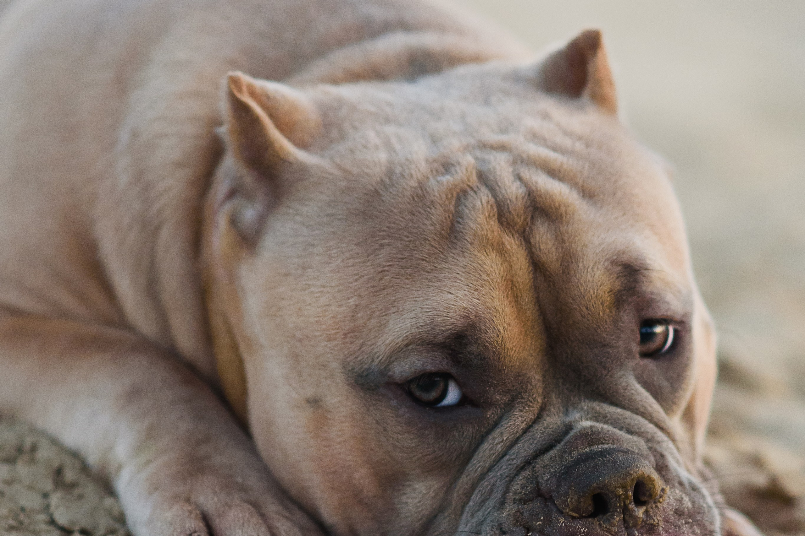 Аляска — Амбулли — 23.08.2024