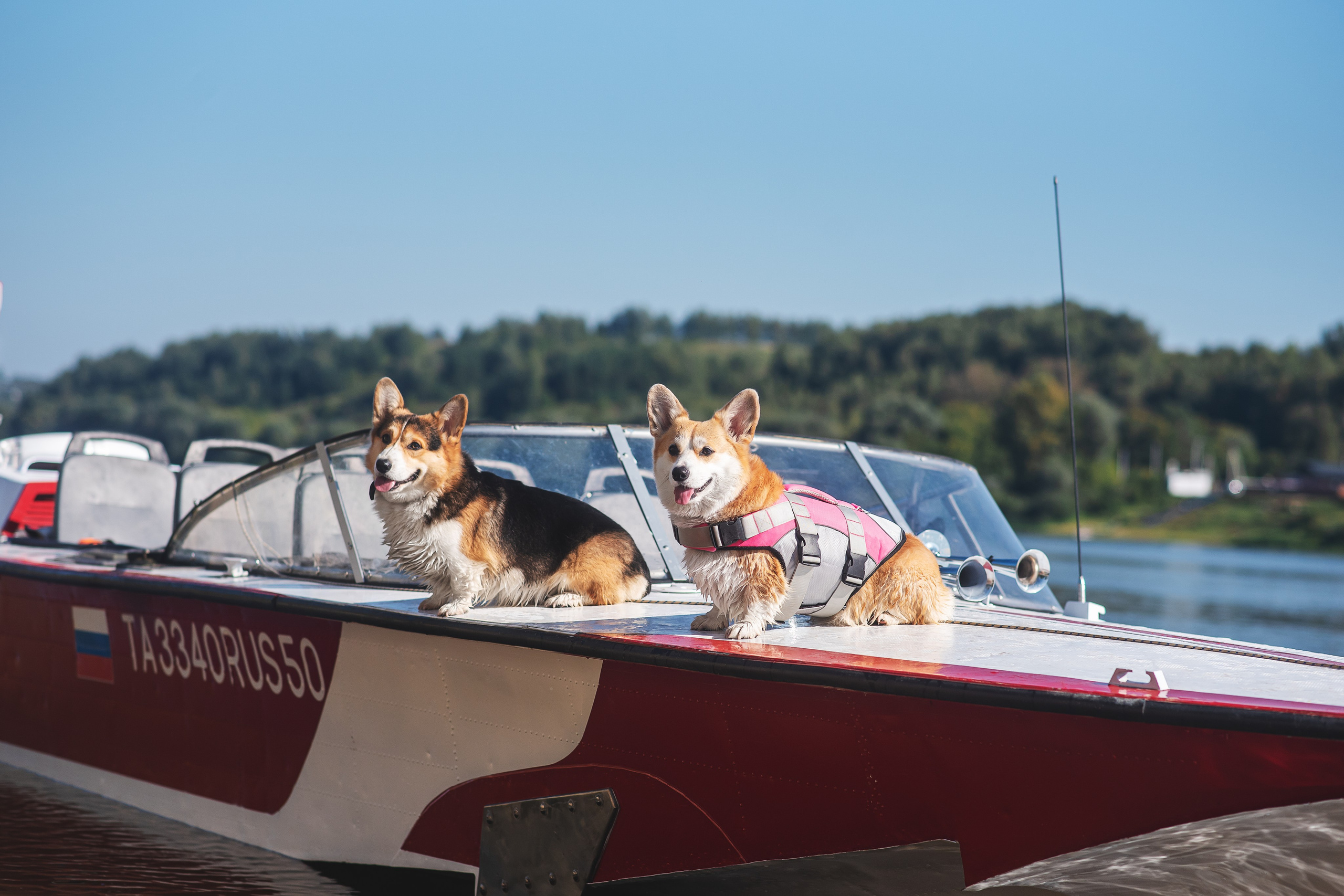 Майк и Лея — 29.08.2024