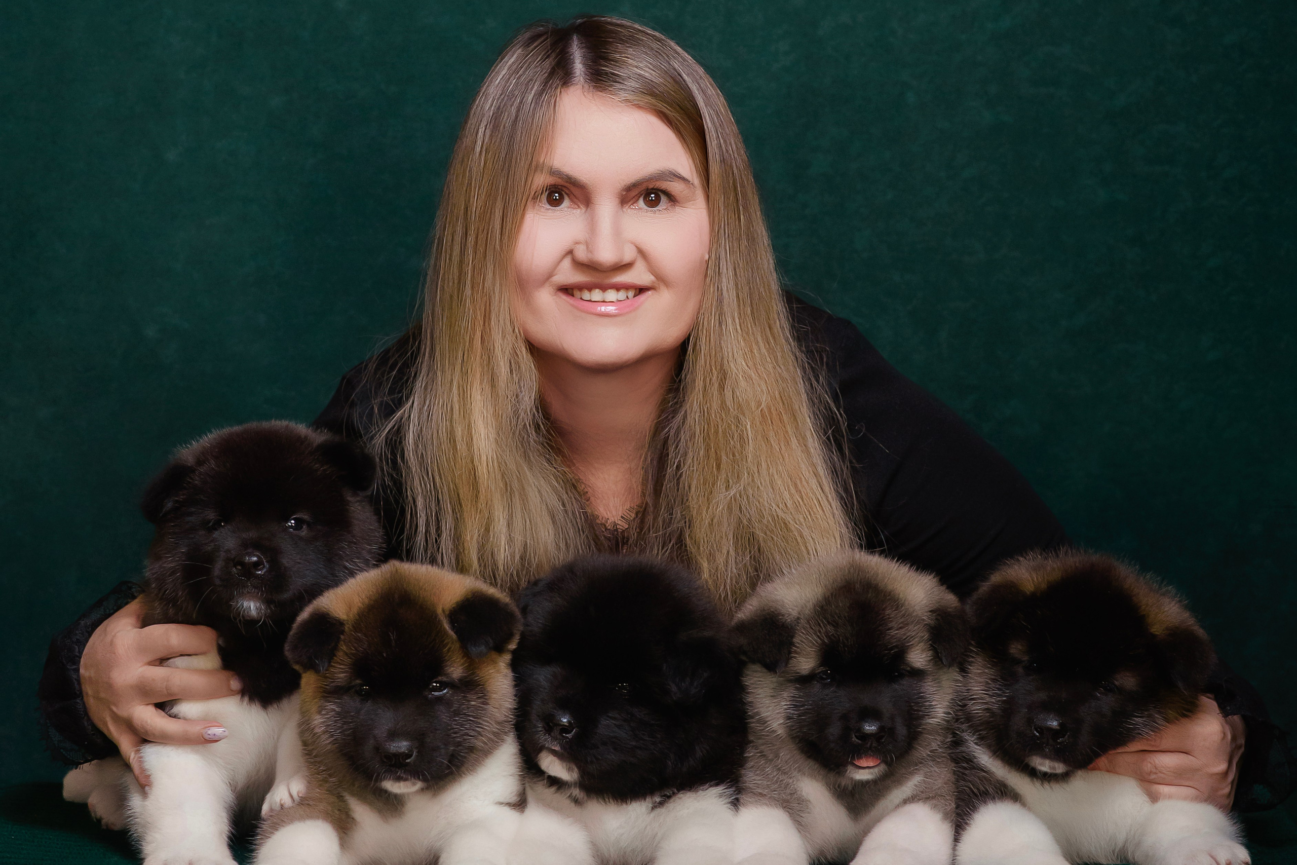 Щенки Американской Акиты