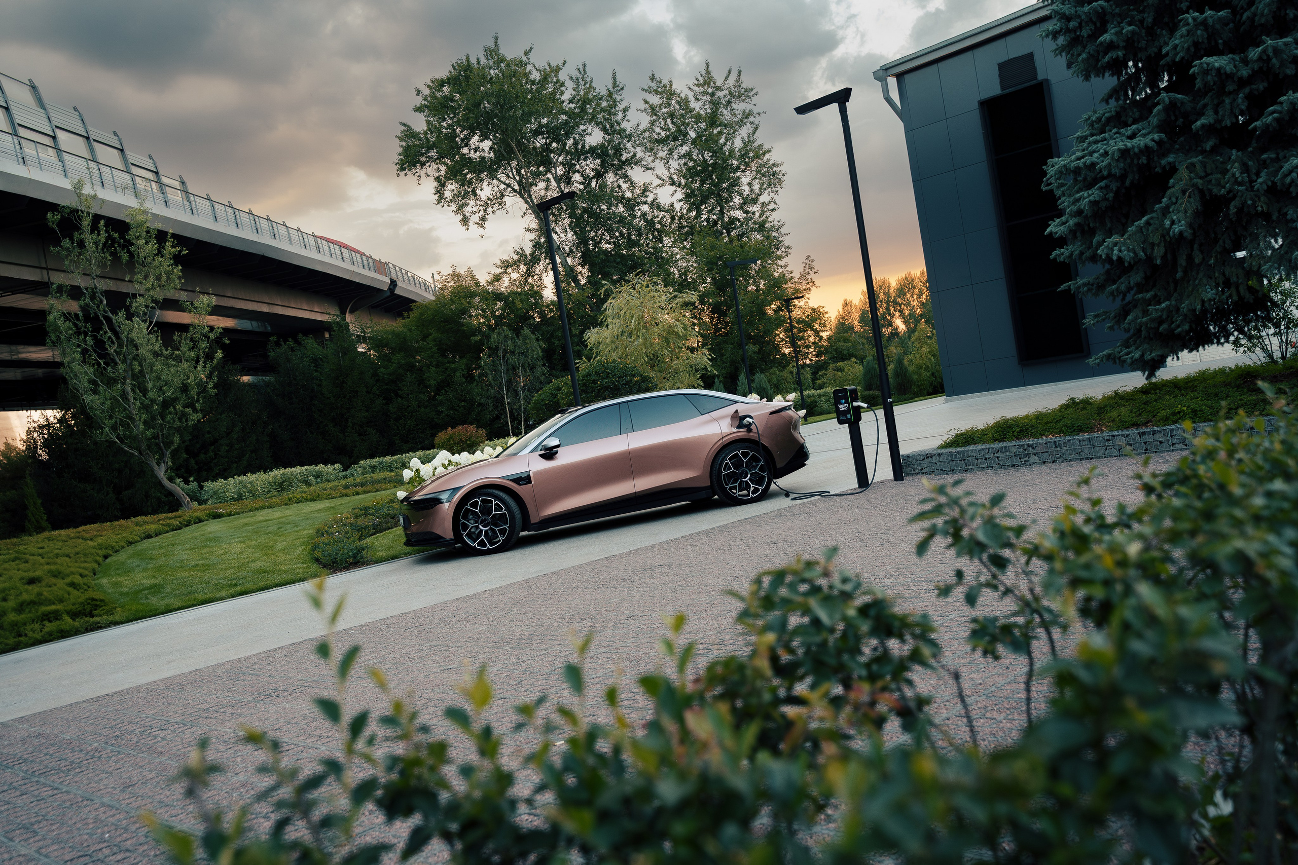 Edison Solo х Vetcity Clinic