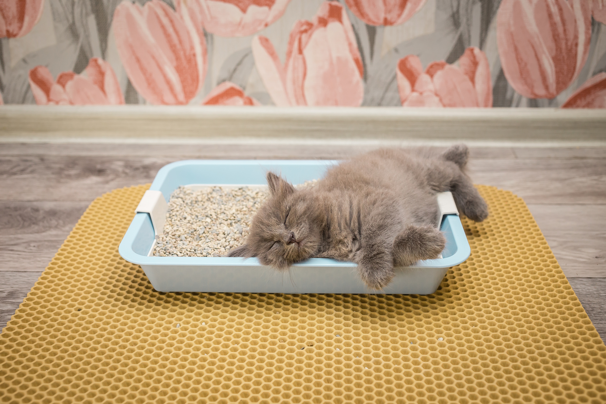 Проект «Вместе с мамой» — аэродром в Богородске. Фотографиня Мария Дикова