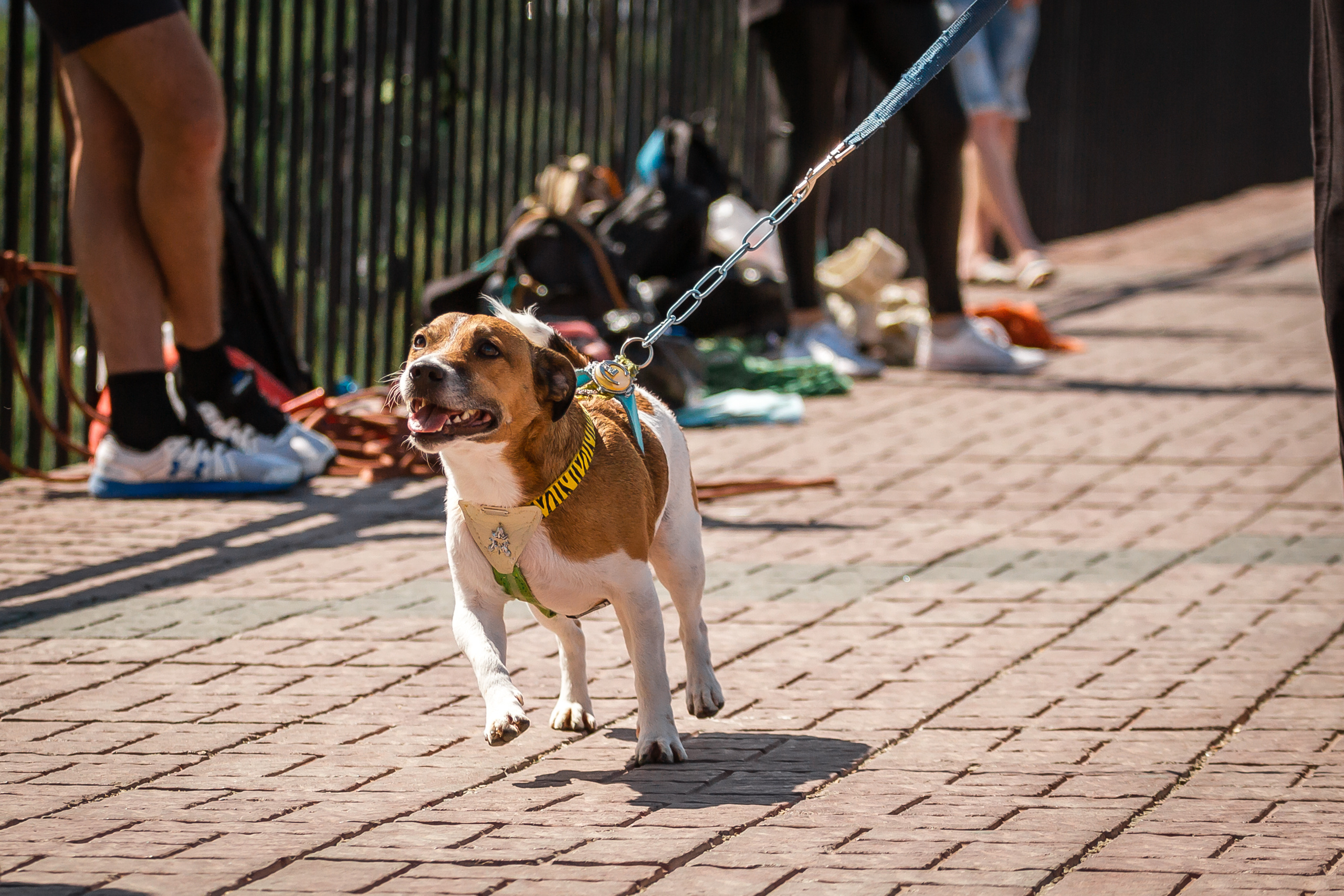 Проект «Вместе с мамой» — аэродром в Богородске. Фотографиня Мария Дикова