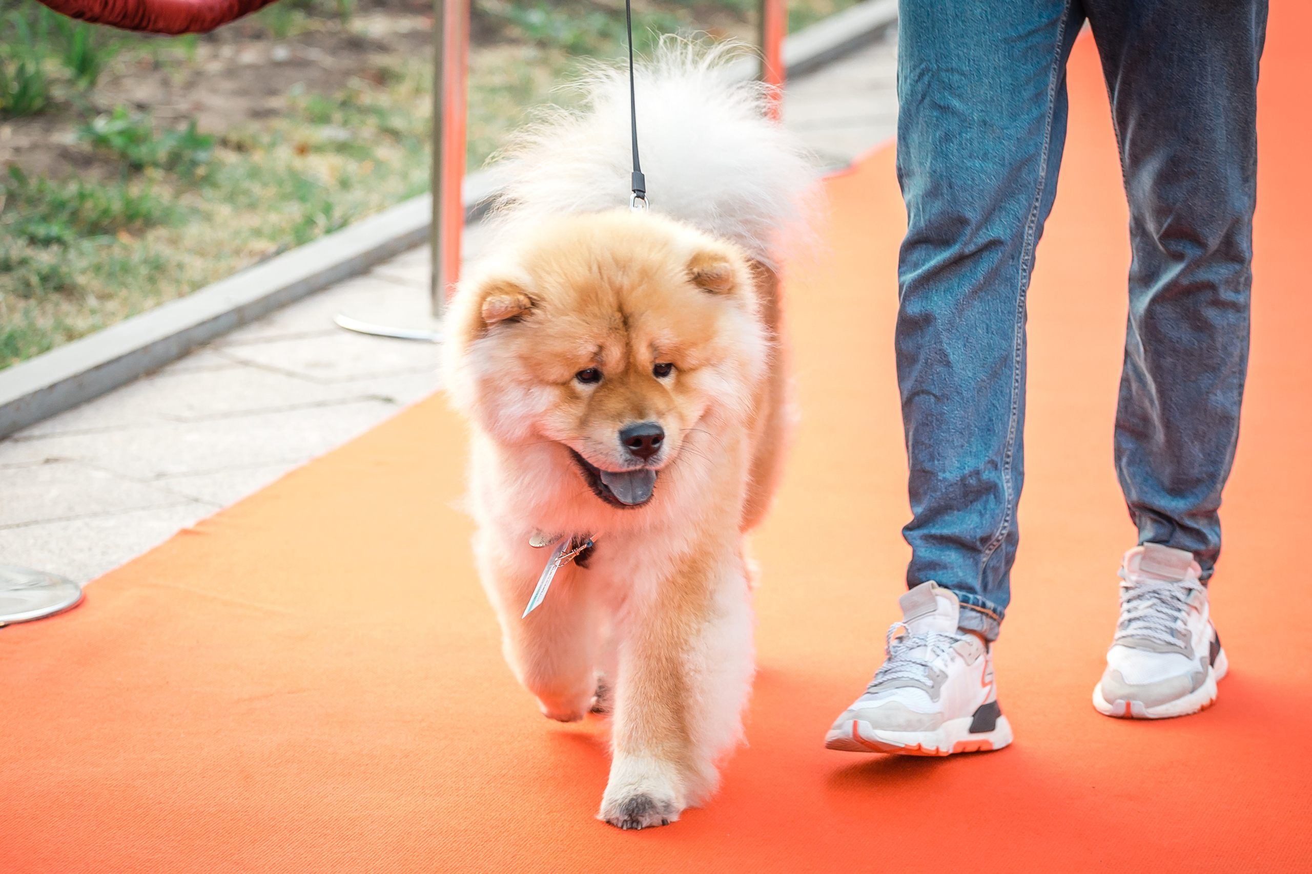 Открытие бара Alcatraz. Фотографиня Мария Дикова