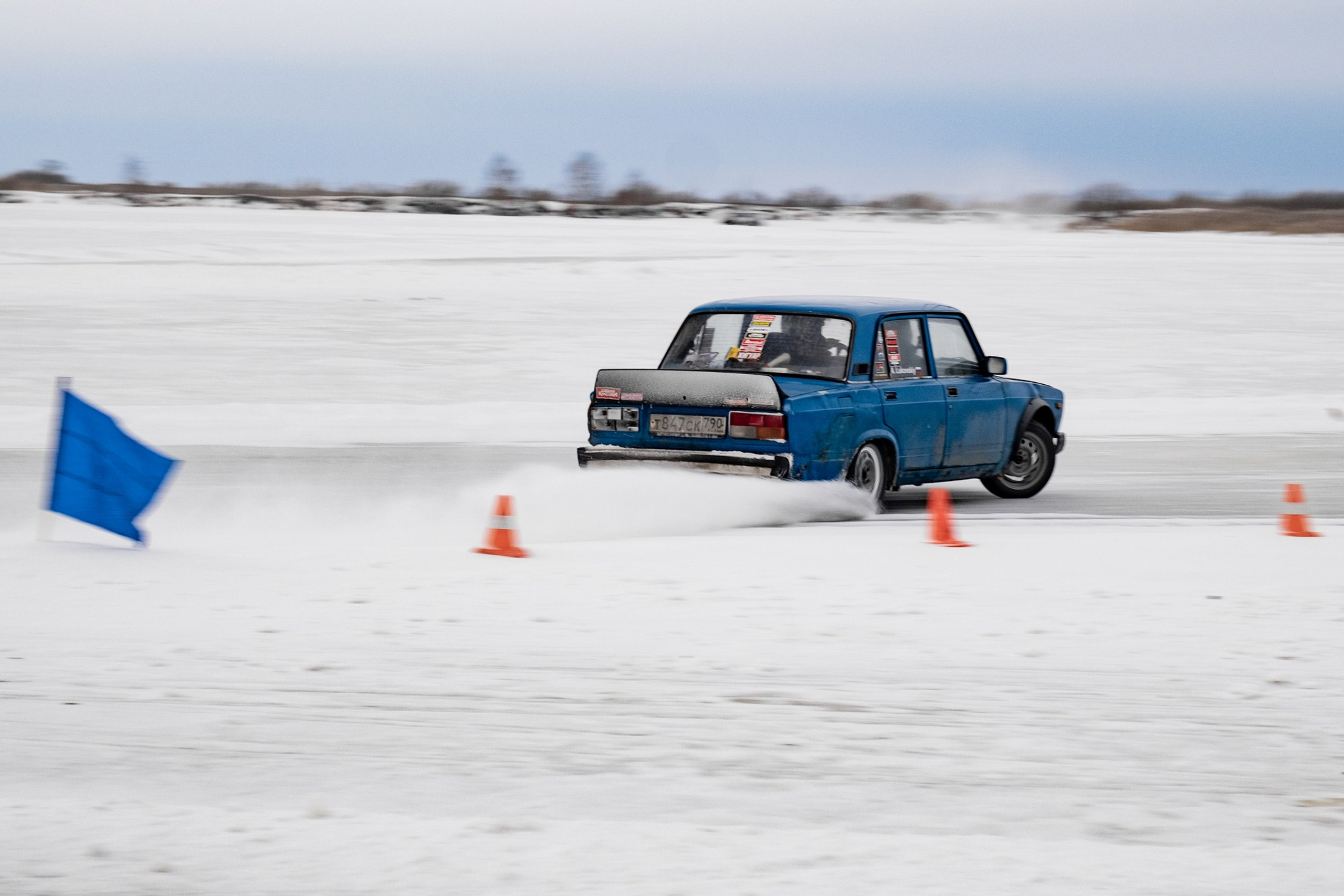 Дмитровлед