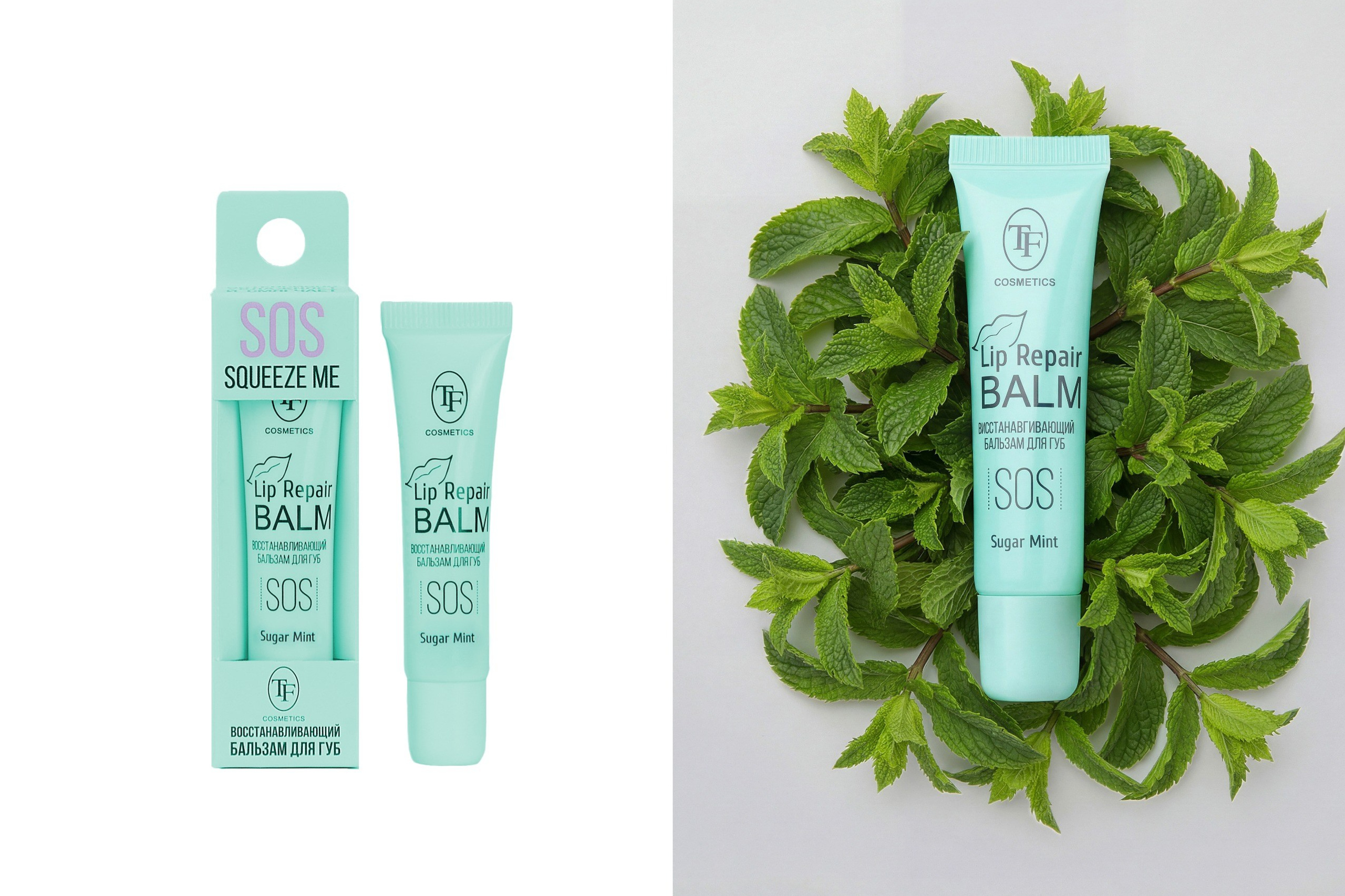 AI-портфолио Альбом