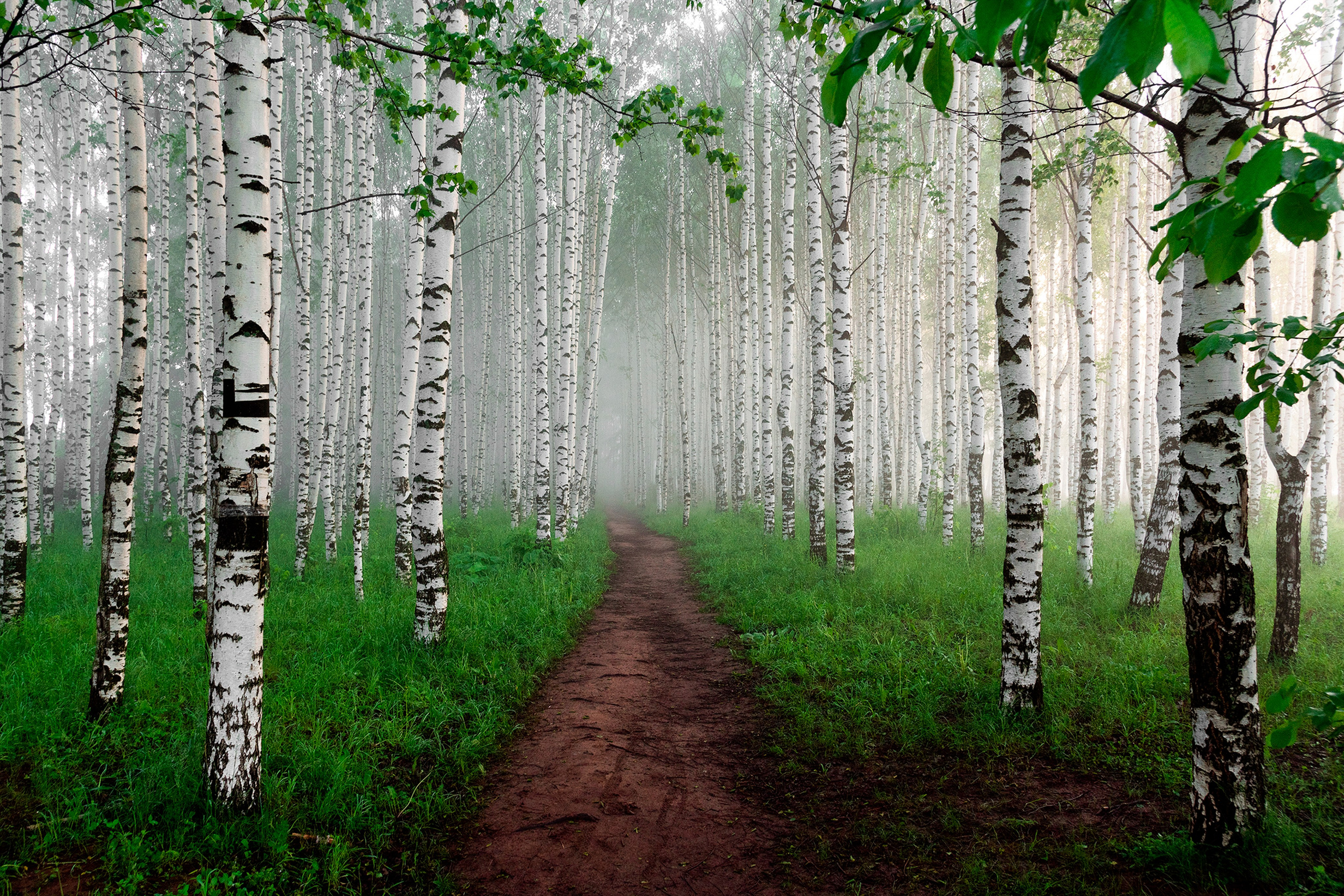 Вятка 18.06.26 — 21.06.26