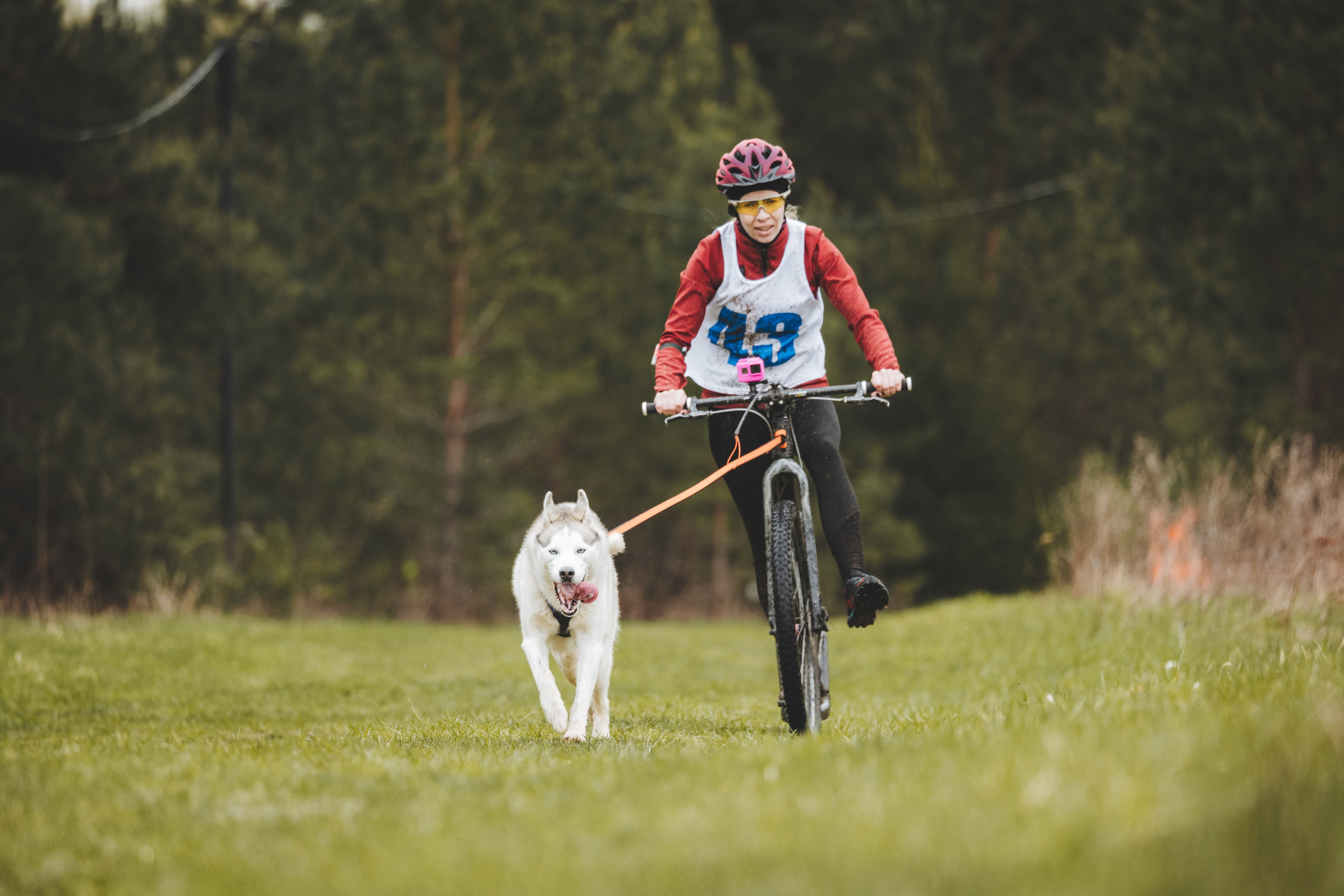 Почёвинский драйдленд