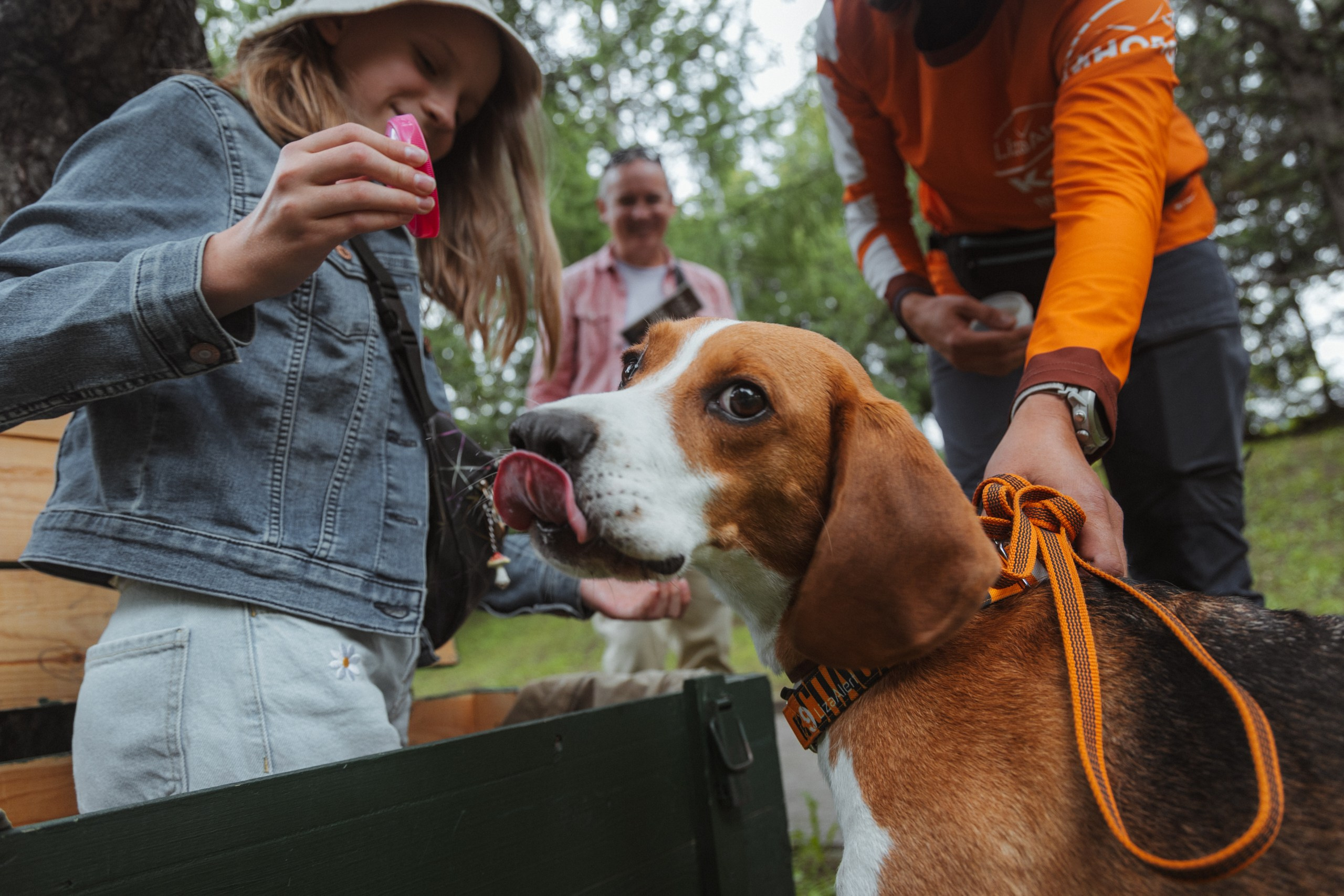 День Фронтовой Собаки (поисково-спасательные собаки)