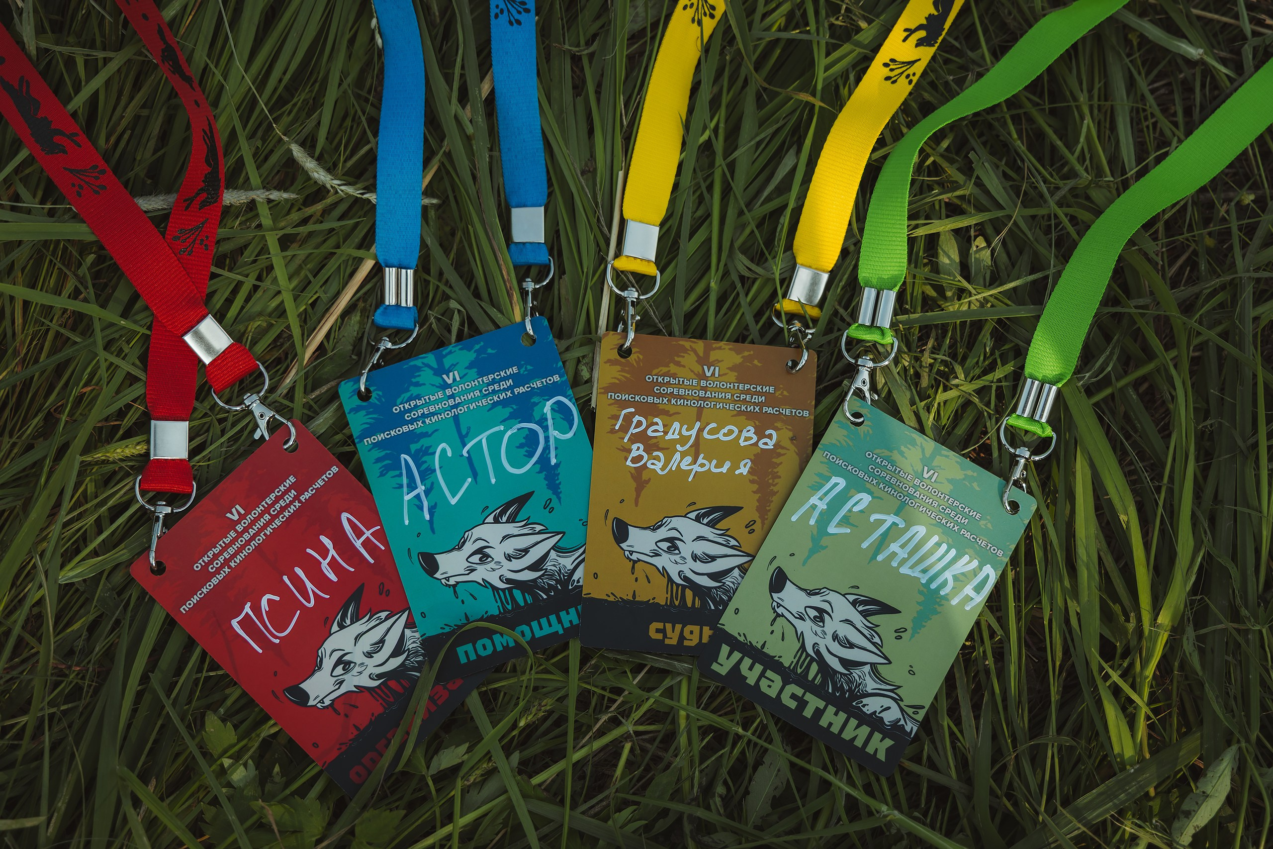 VI открытые волонтёрские соревнования среди поисковых кинологических расчётов