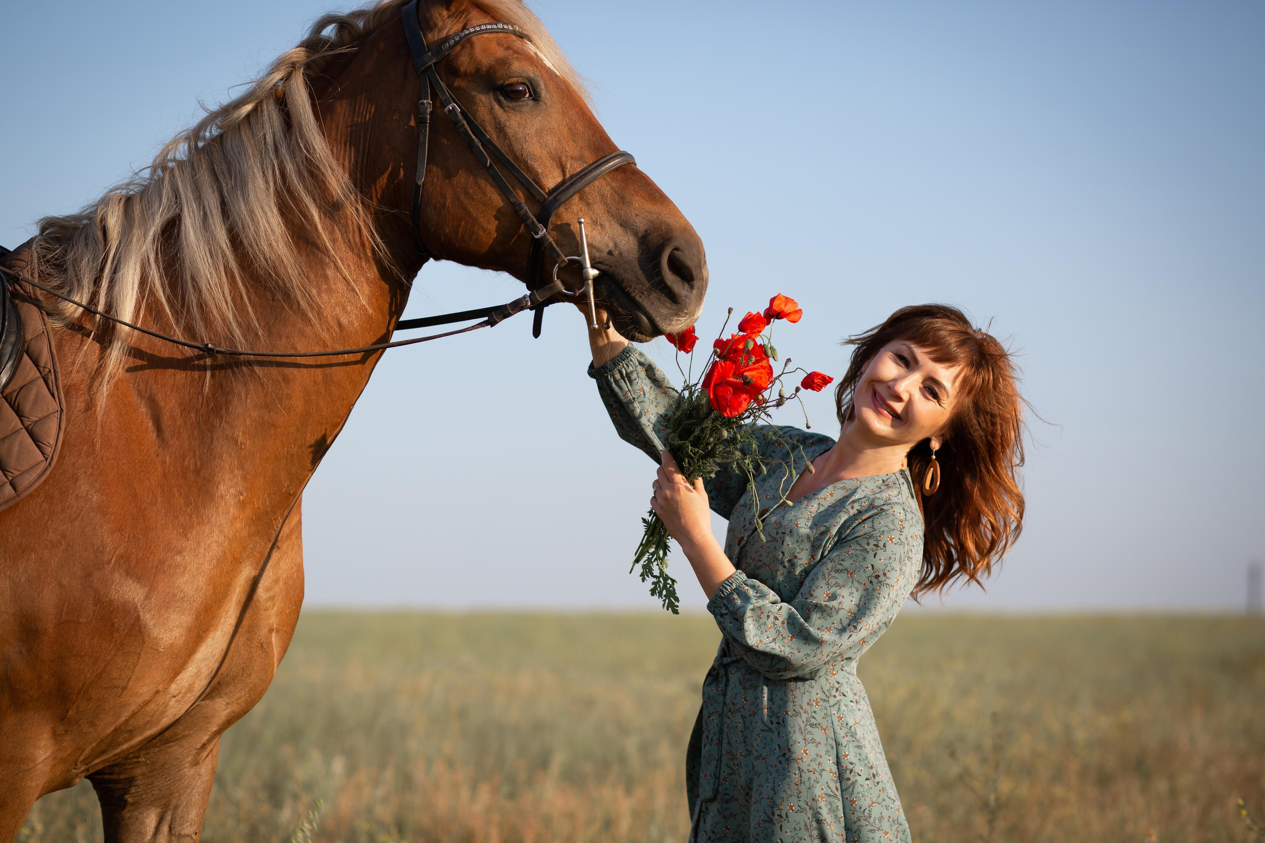 Фотосъемки с лошадьми в поле