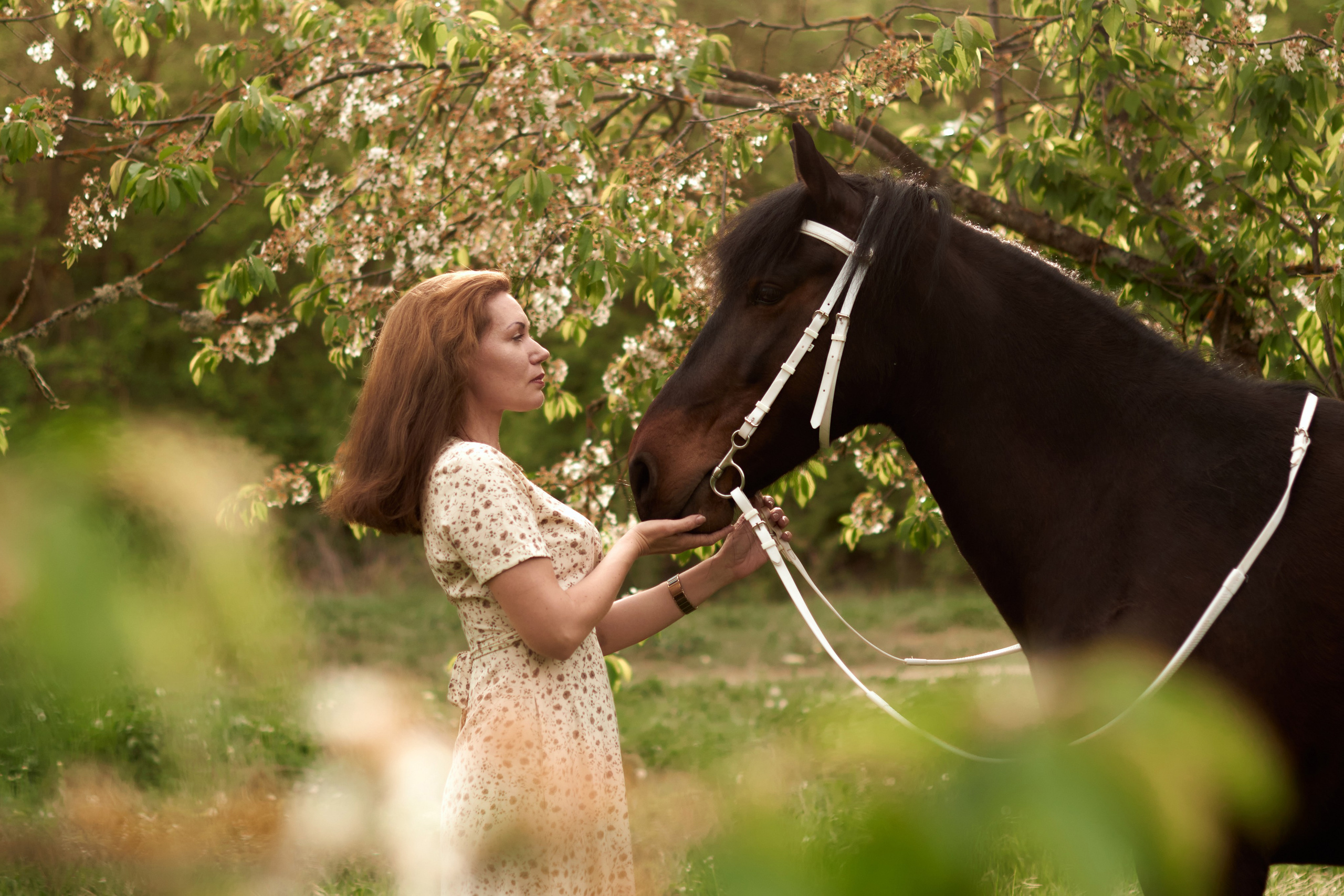 Елена и Ночь