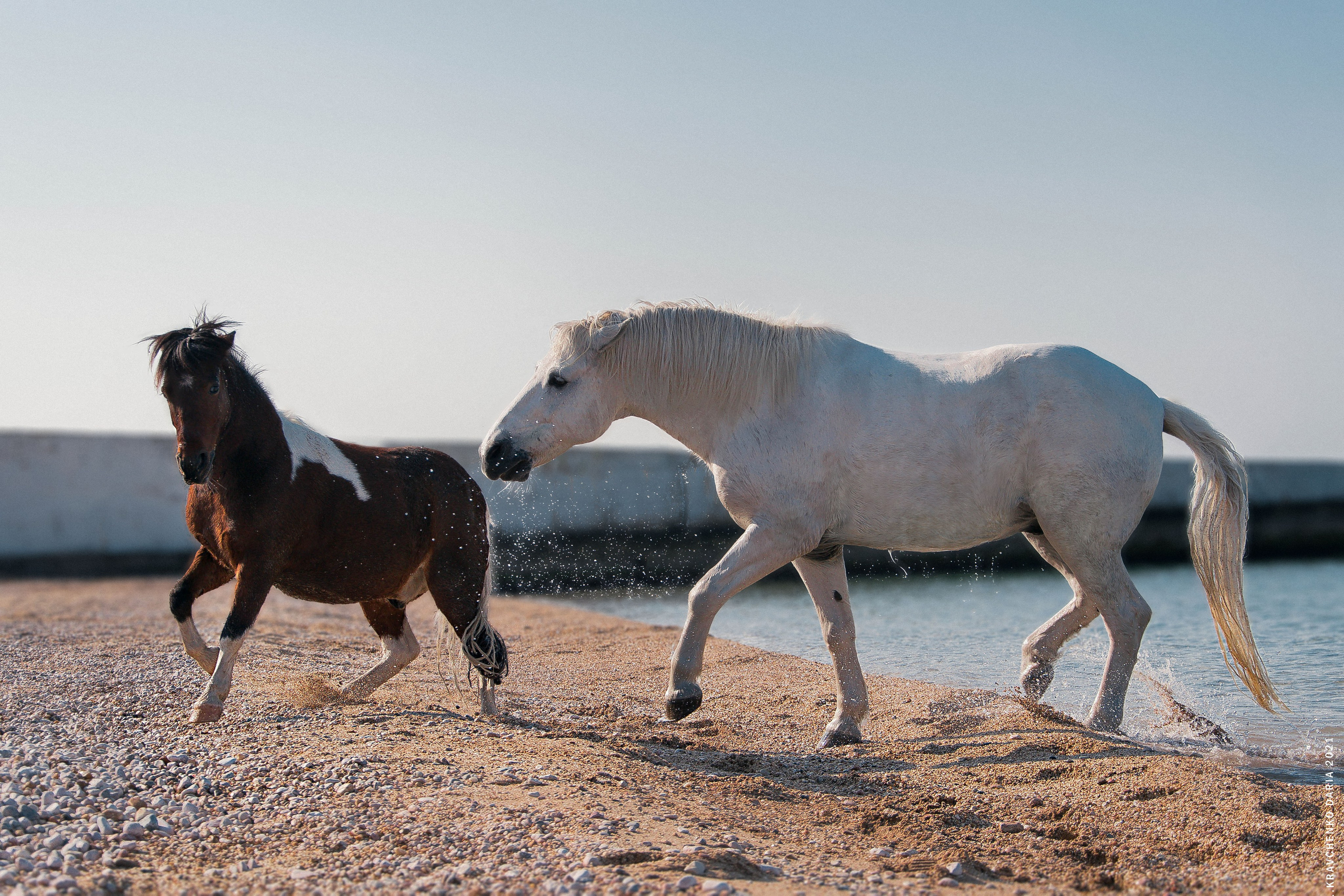 Миф и Фунтик