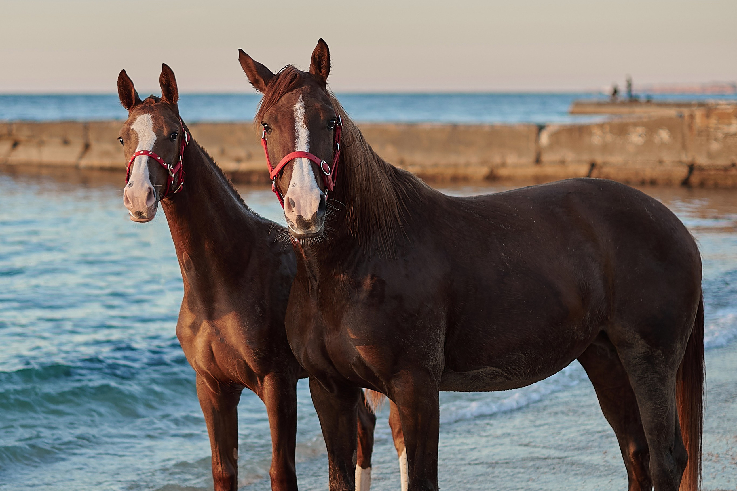Галактика и Кассиопея
