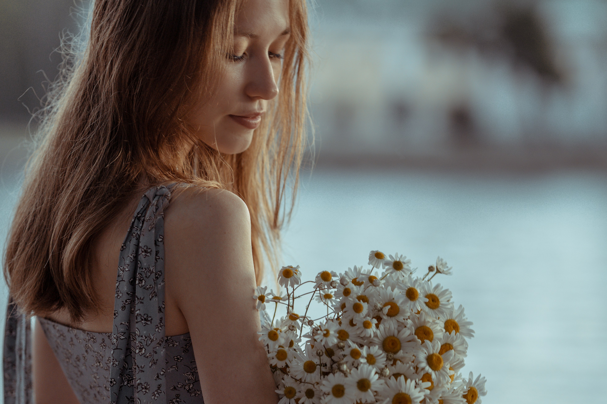 Белые ночи. Рассвет на даче Громова