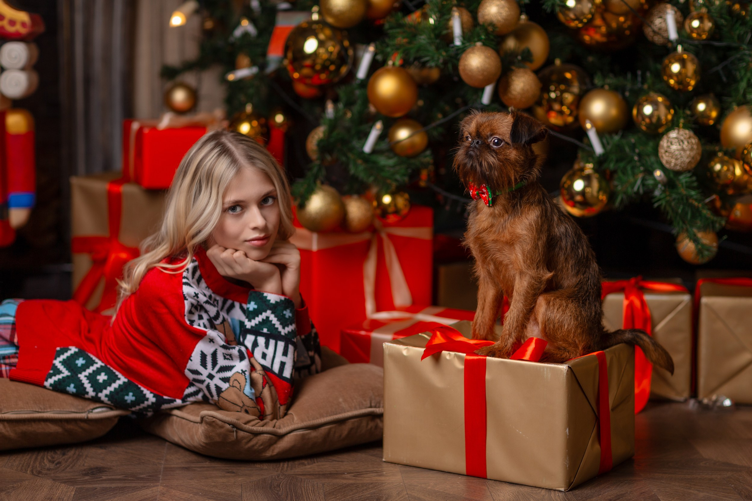 Новогодние фотосессии 2025/2026