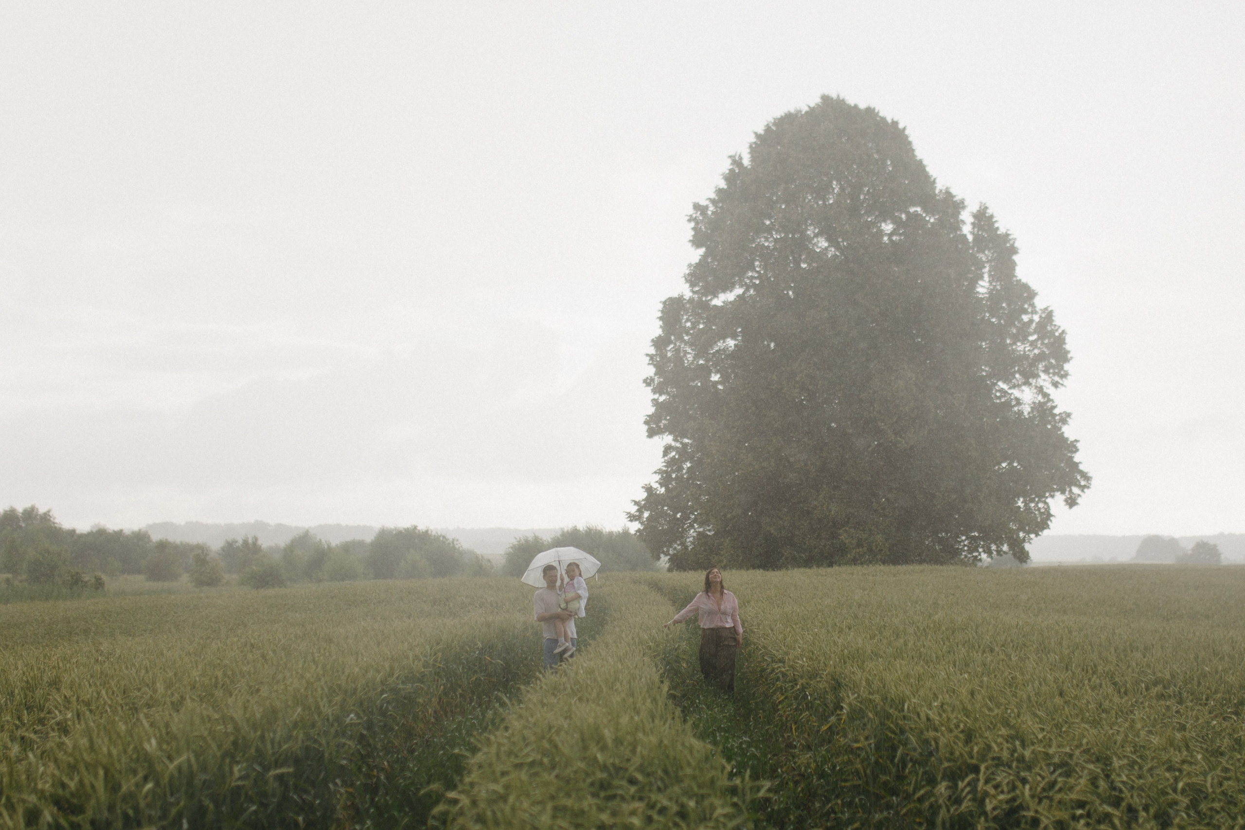 «Под грибным дождём»