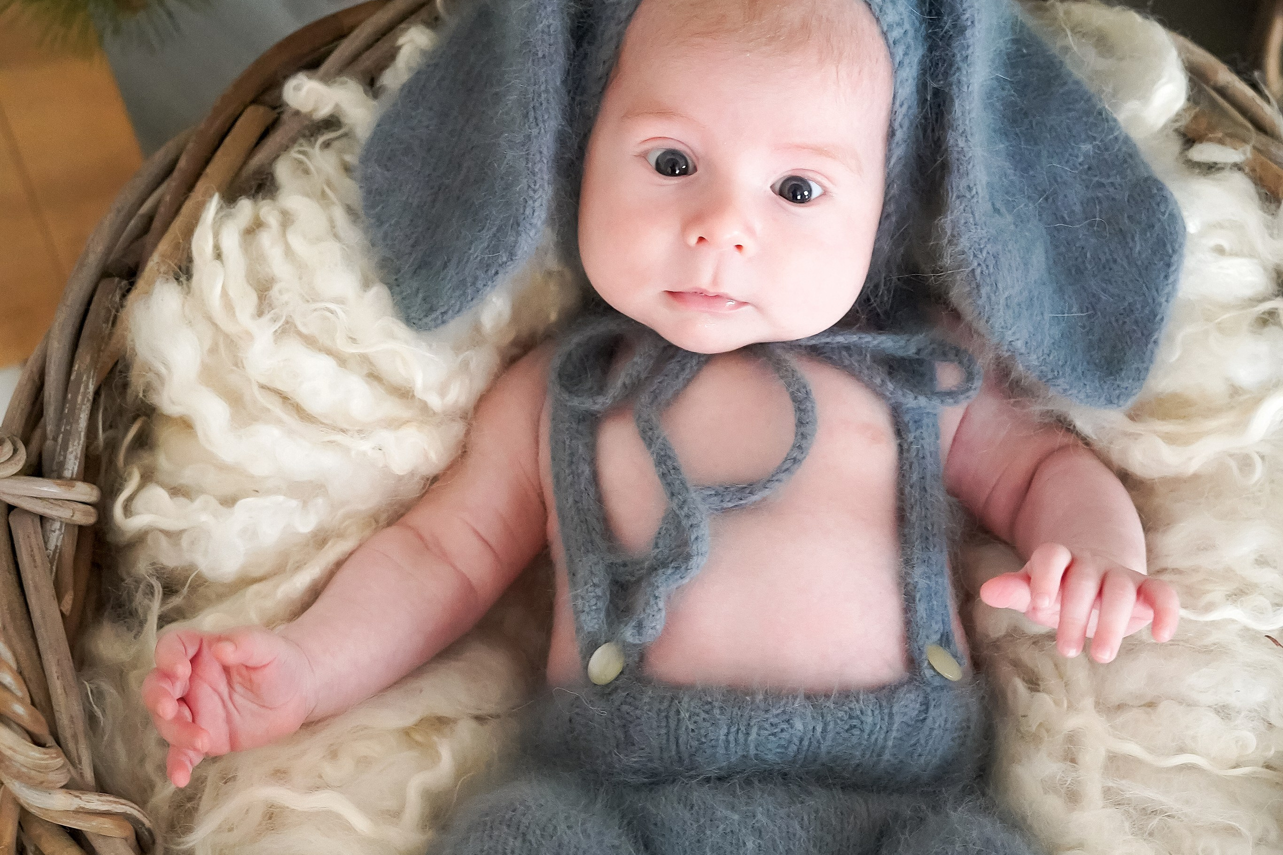 НОВОРОЖДЕННЫЙ НГ