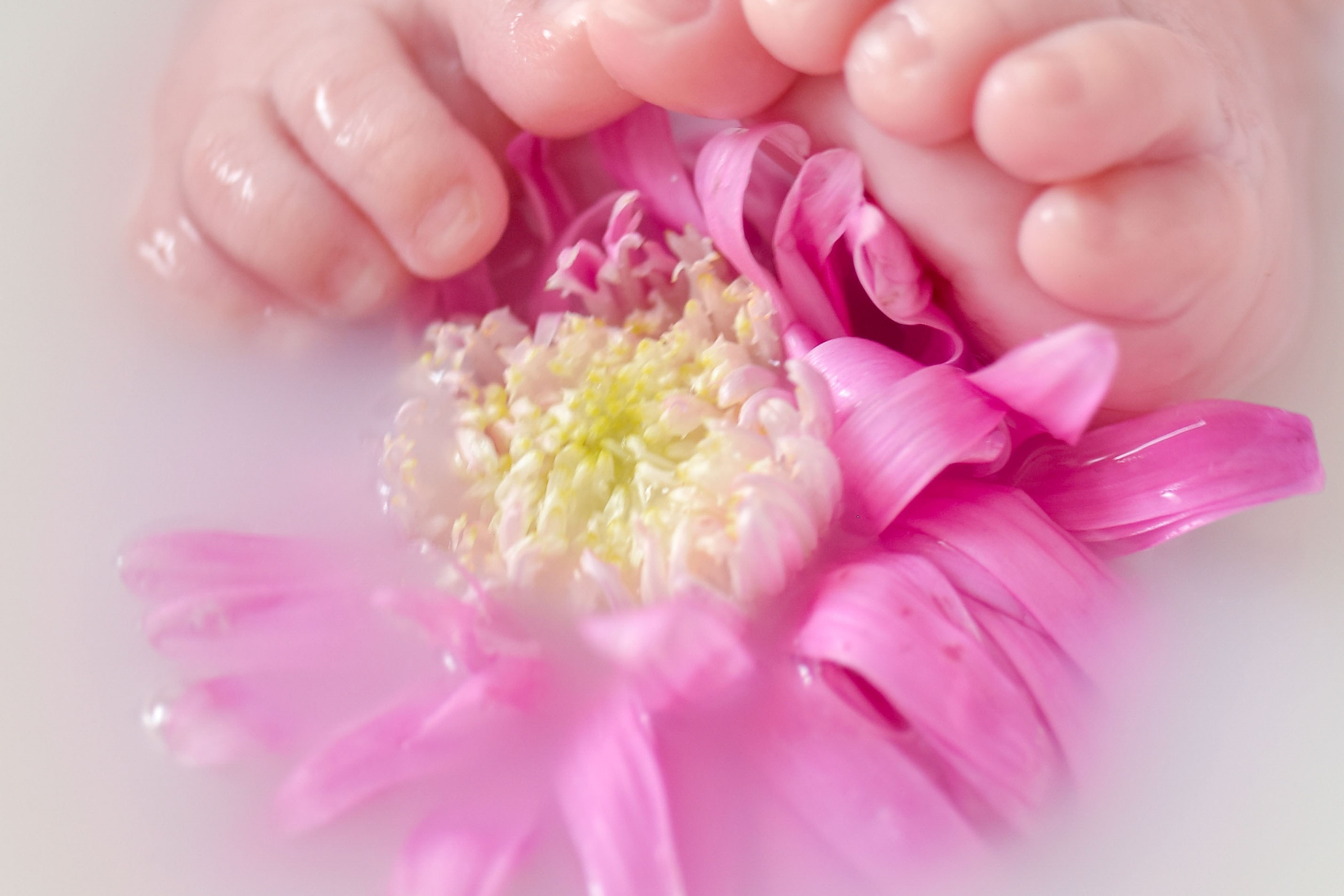 МОЛОЧНЫЕ ВАННЫ