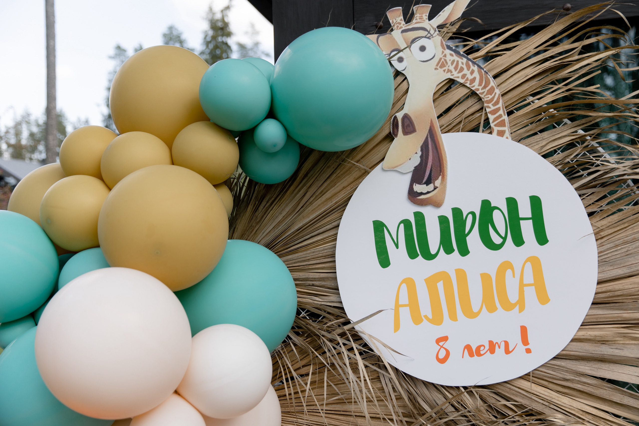 Мирон и Алиса 8 лет