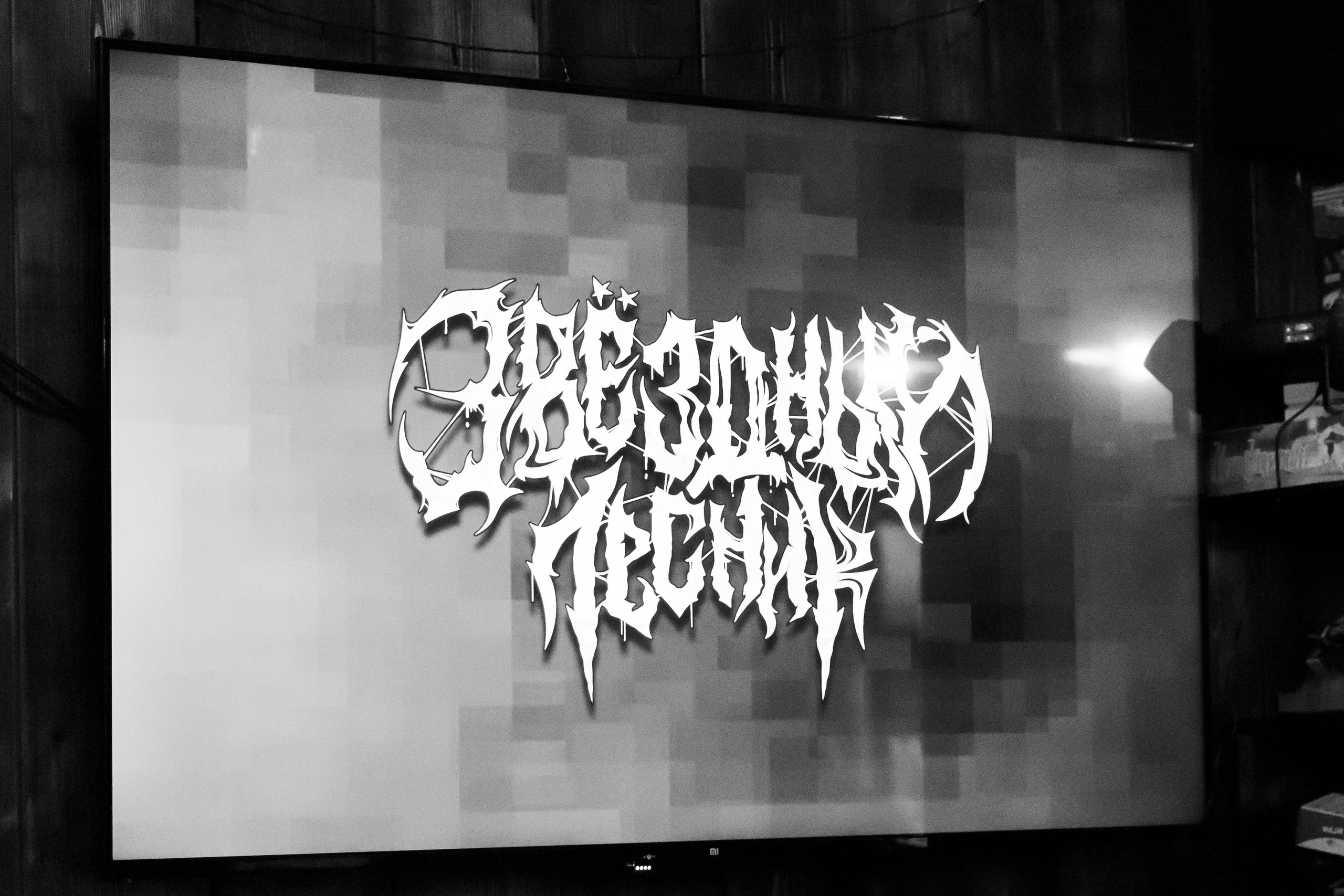Рок-концерт «Звездный лесник»