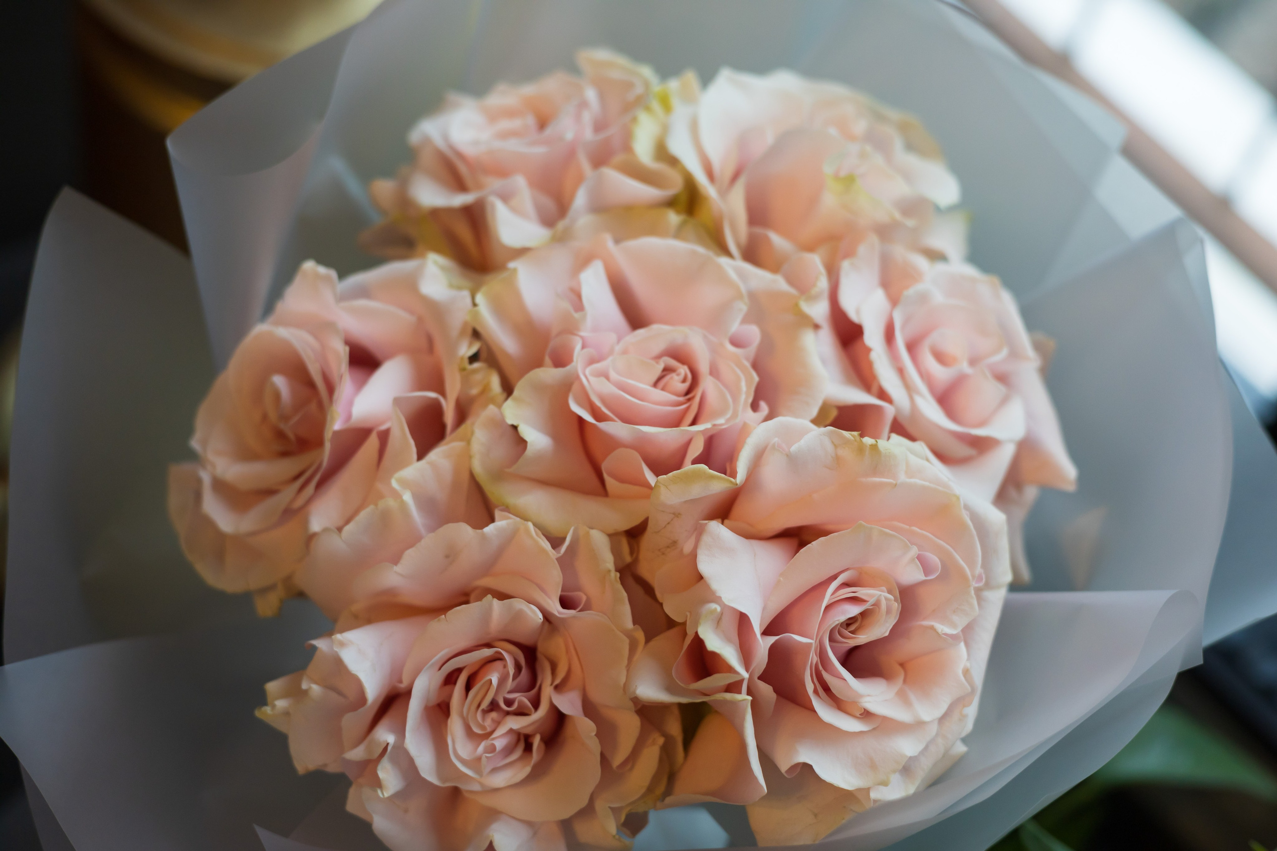 —&nbsp;День Рождения