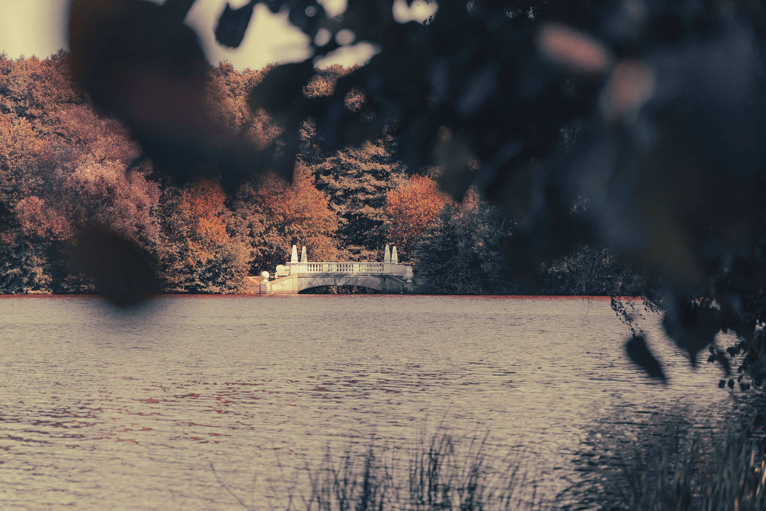 — Прогулка в Кратово