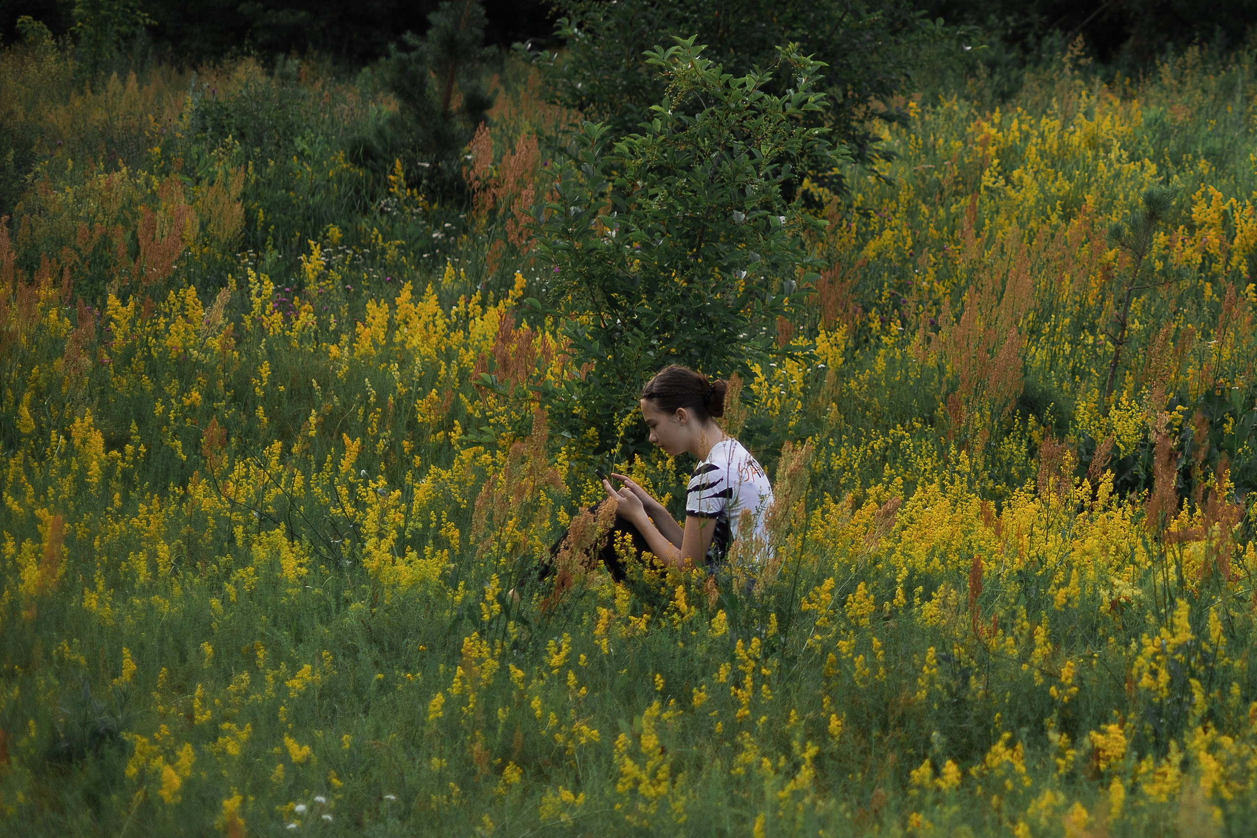 —&nbsp;Фестиваль цветов в&nbsp;усадьбе Быково