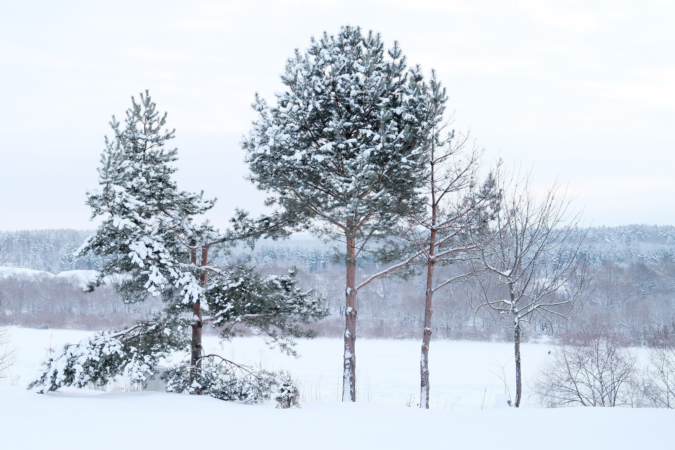 Авторская фотография, визуальные истории. Личный блог Романа Белугина. Противоядие от повседневности