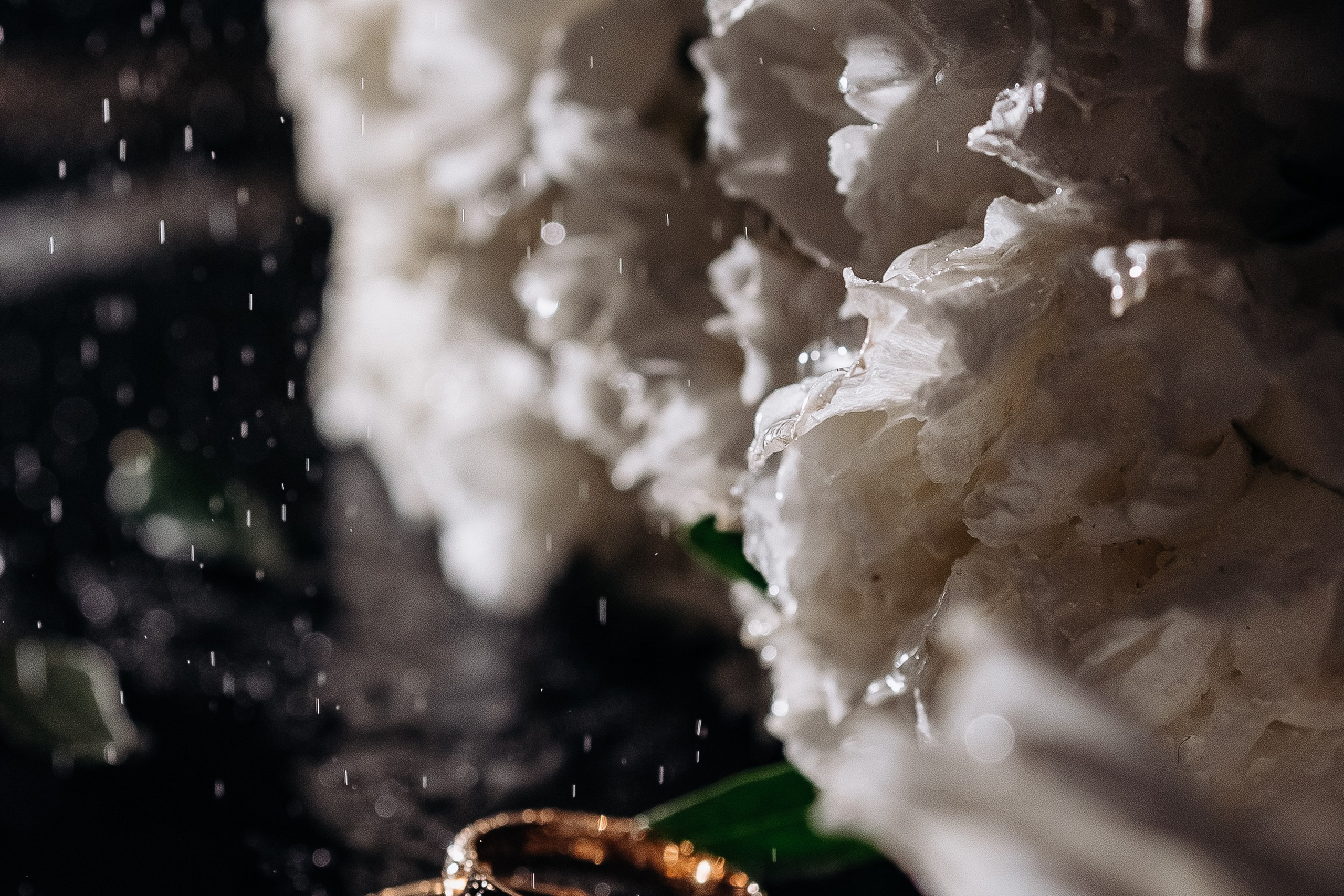 Ксения. Утро невесты