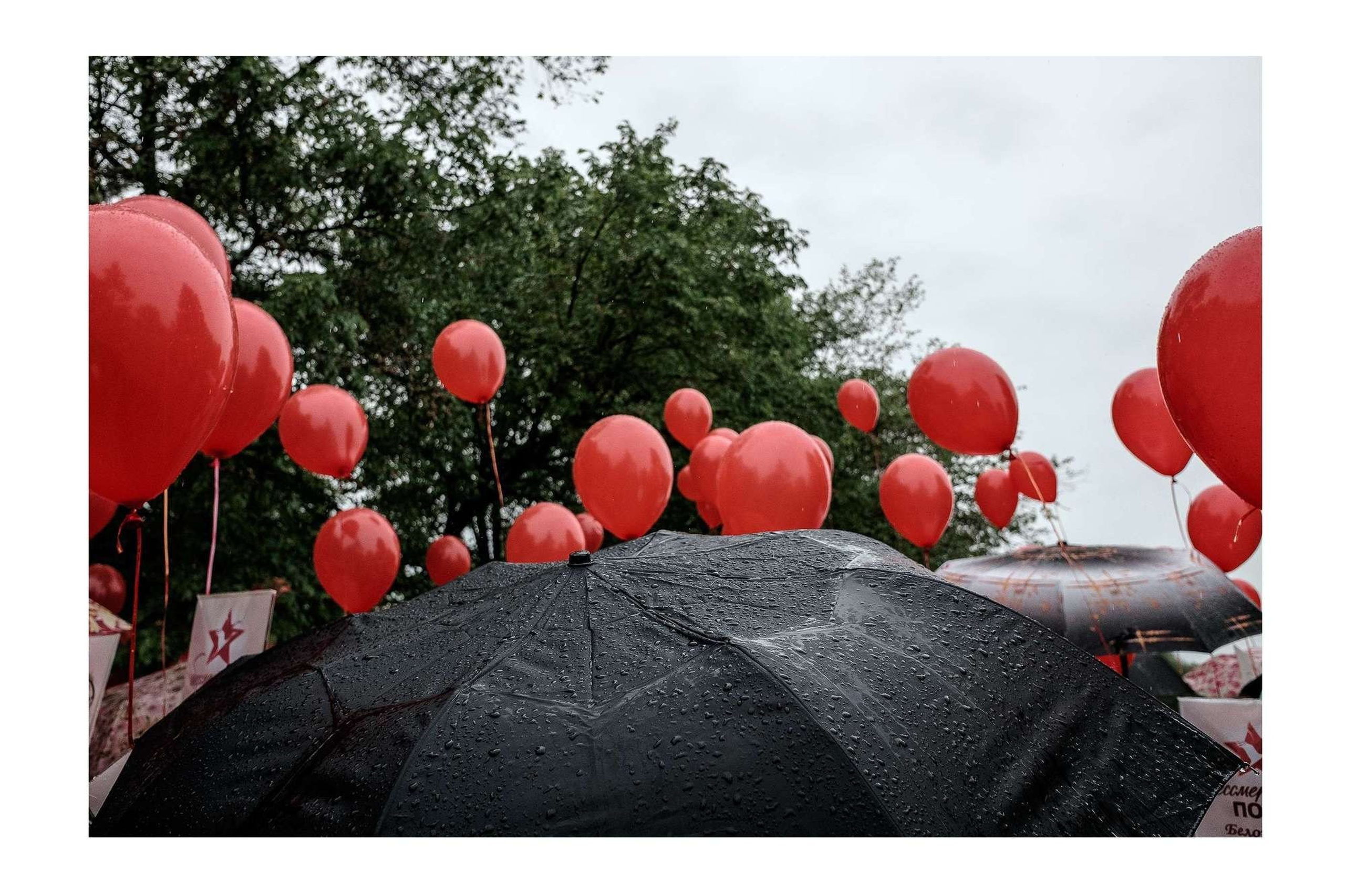 9 МАЯ 2018. Свадебный фотограф в Ставрополе Сергей Шляхов