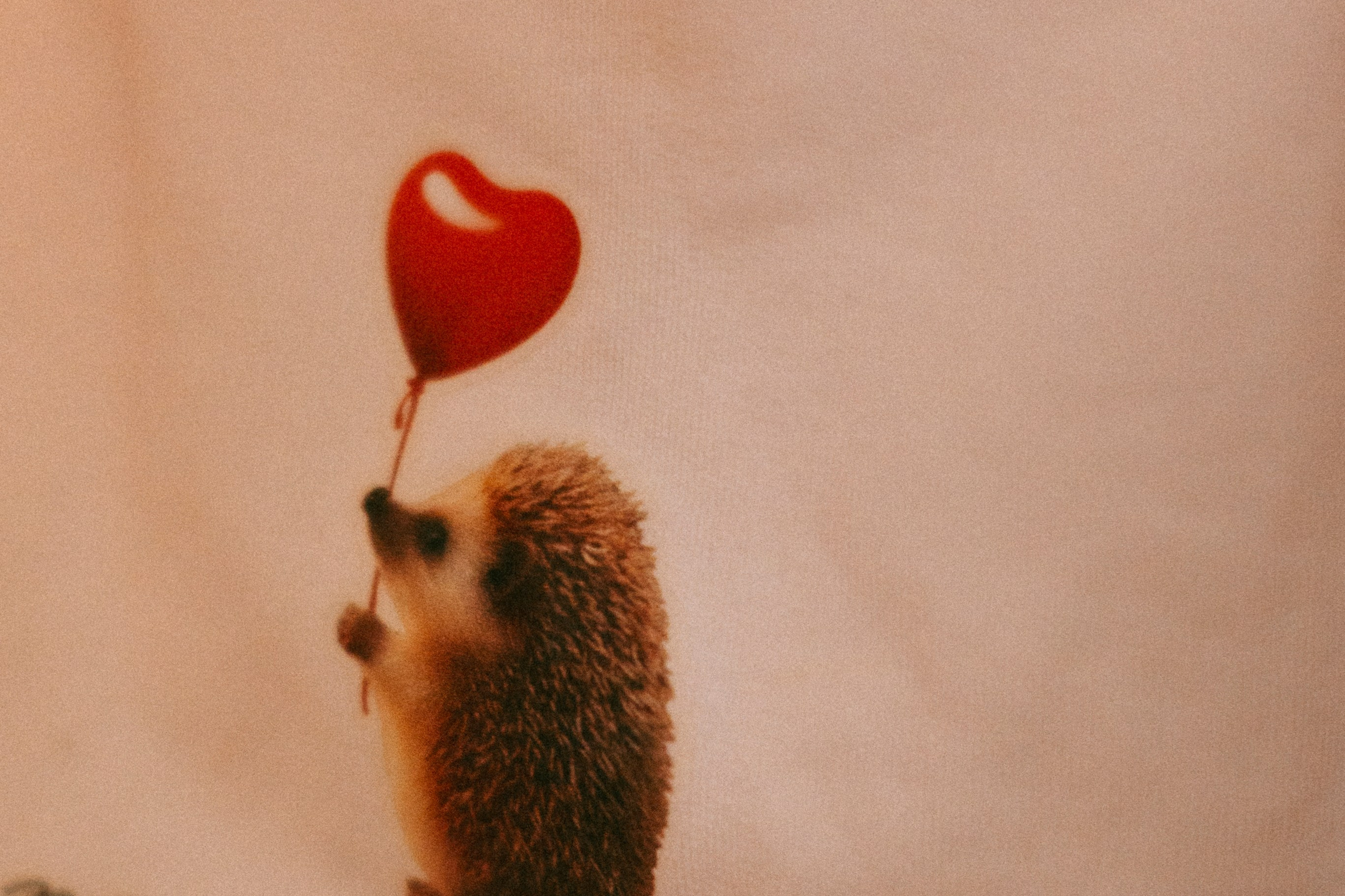 Рецепт семейного счастья)