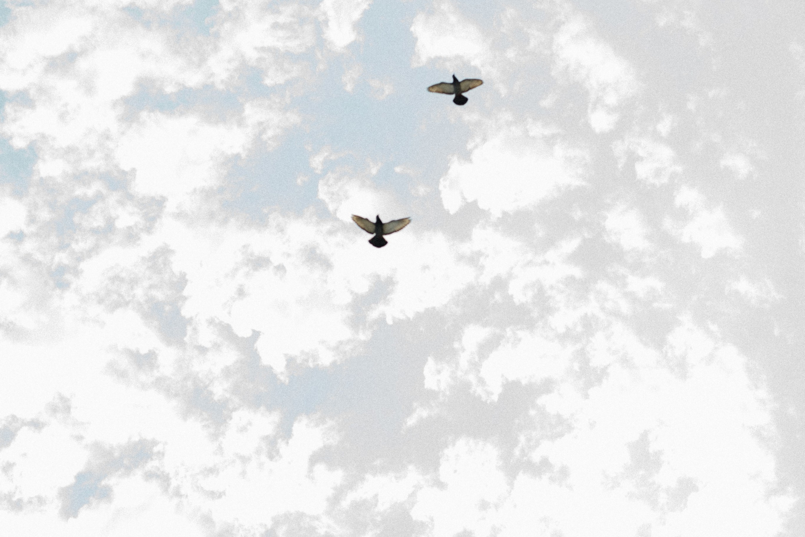 Просто о красивой любви