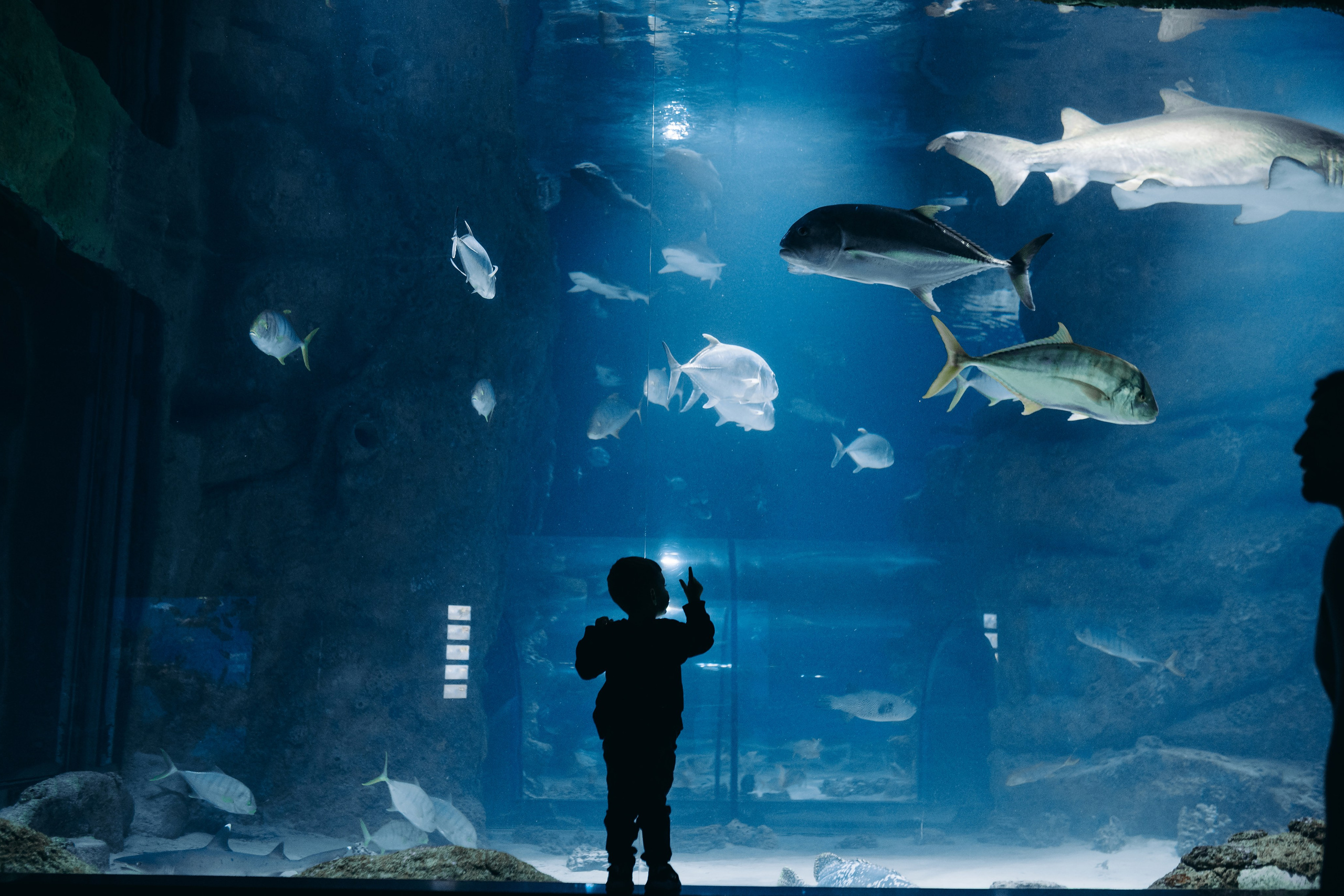 Блог. Главная