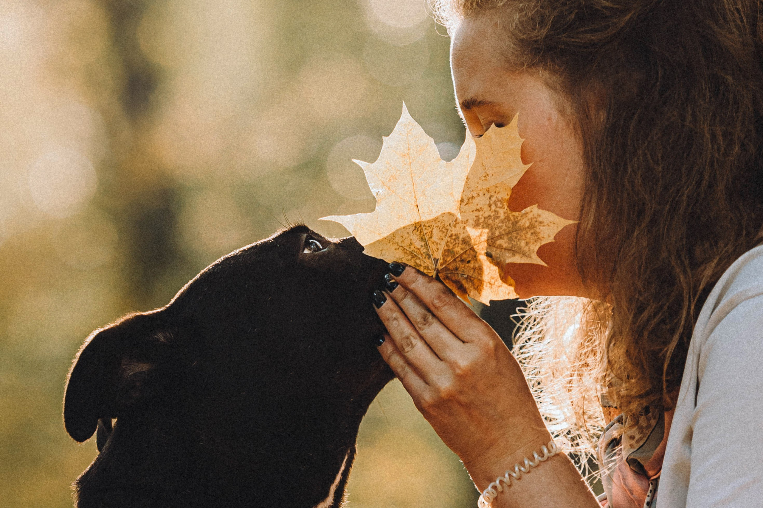 Ксюша, Ваня и Рамона